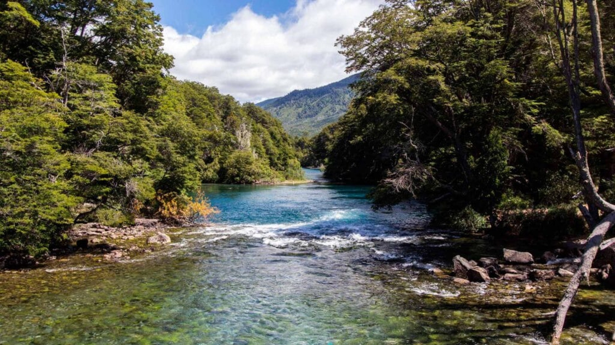 Hallaron muerta a una mujer en la zona de El Manso y se investigan las causas