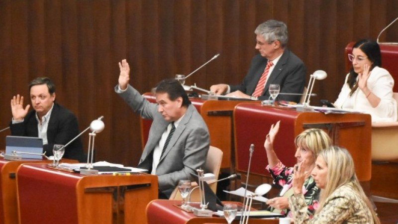 Se rompe el oficialismo en Chubut: dos diputados arman bloque propio y dejan expuesto a Torres