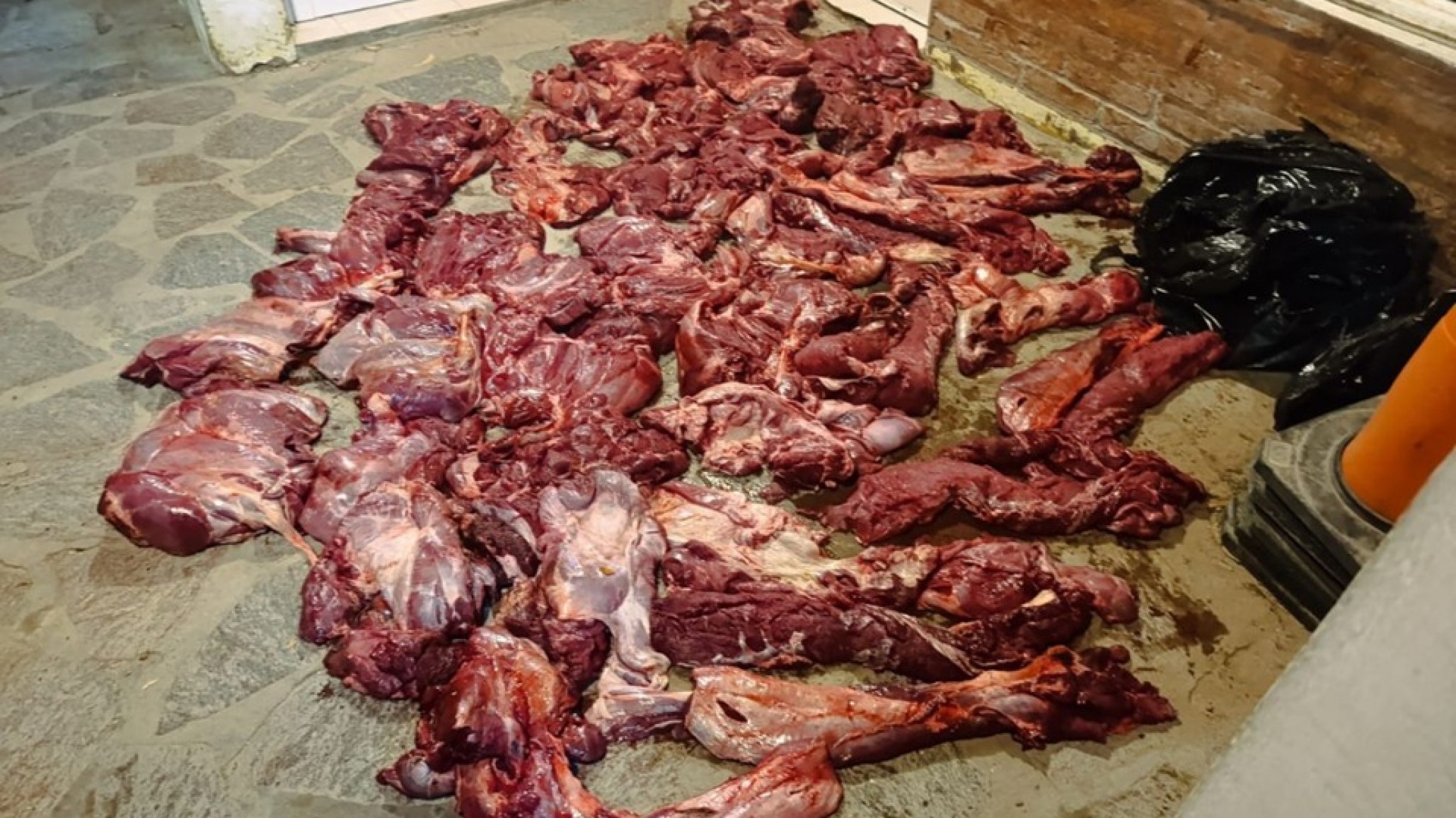 Chubut: Detectaron olores en un auto y hallaron un cargamento de guanacos