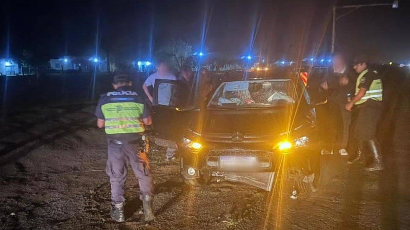 Accidente en Ruta 11: un caballo suelto provocó un choque en cadena