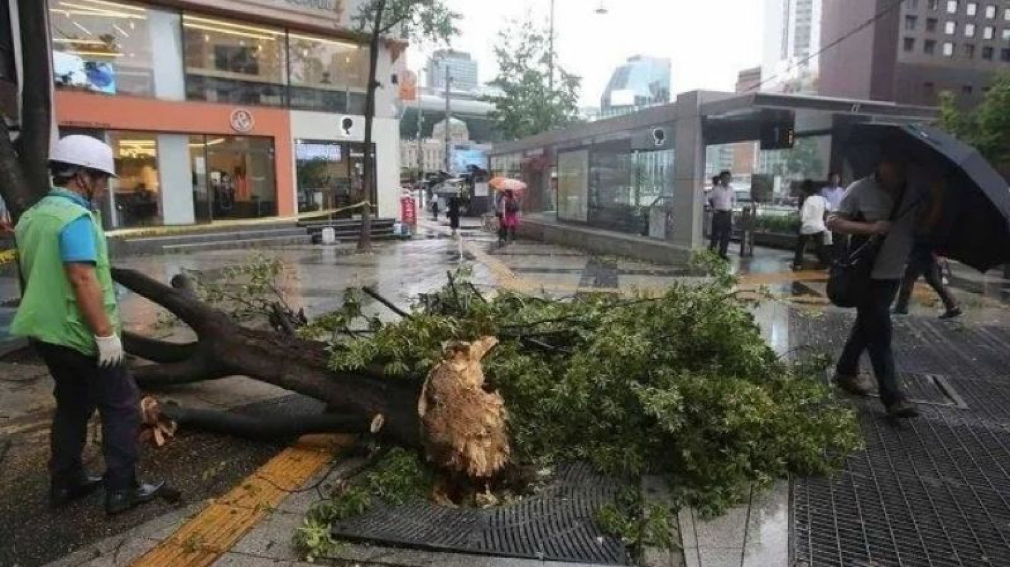 Otra enorme tormenta, pero del otro lado del mundo: Lingling arrasa las dos Coreas