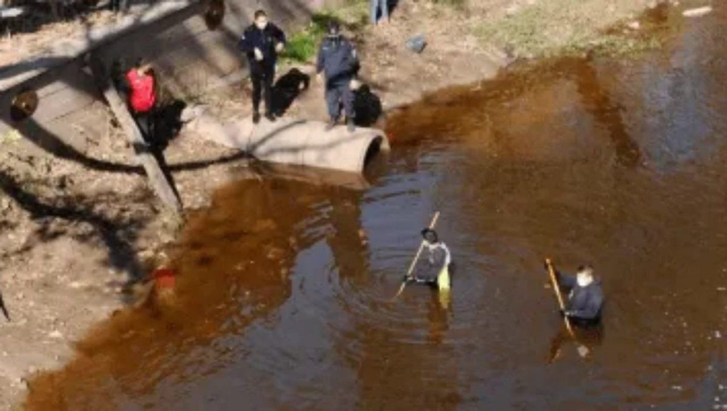 Detalles sobre el macabro asesinato de un escribano: Mató y descuartizó