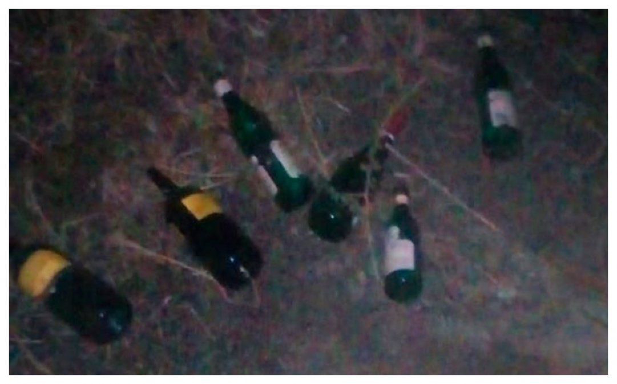 Controles en Comodoro: demoras por circular fuera del horario permitido y secuestro de bebidas alcohólicas