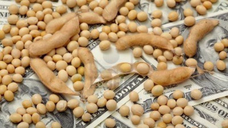 Agro: Récord de exportaciones por temor al regreso de las retenciones