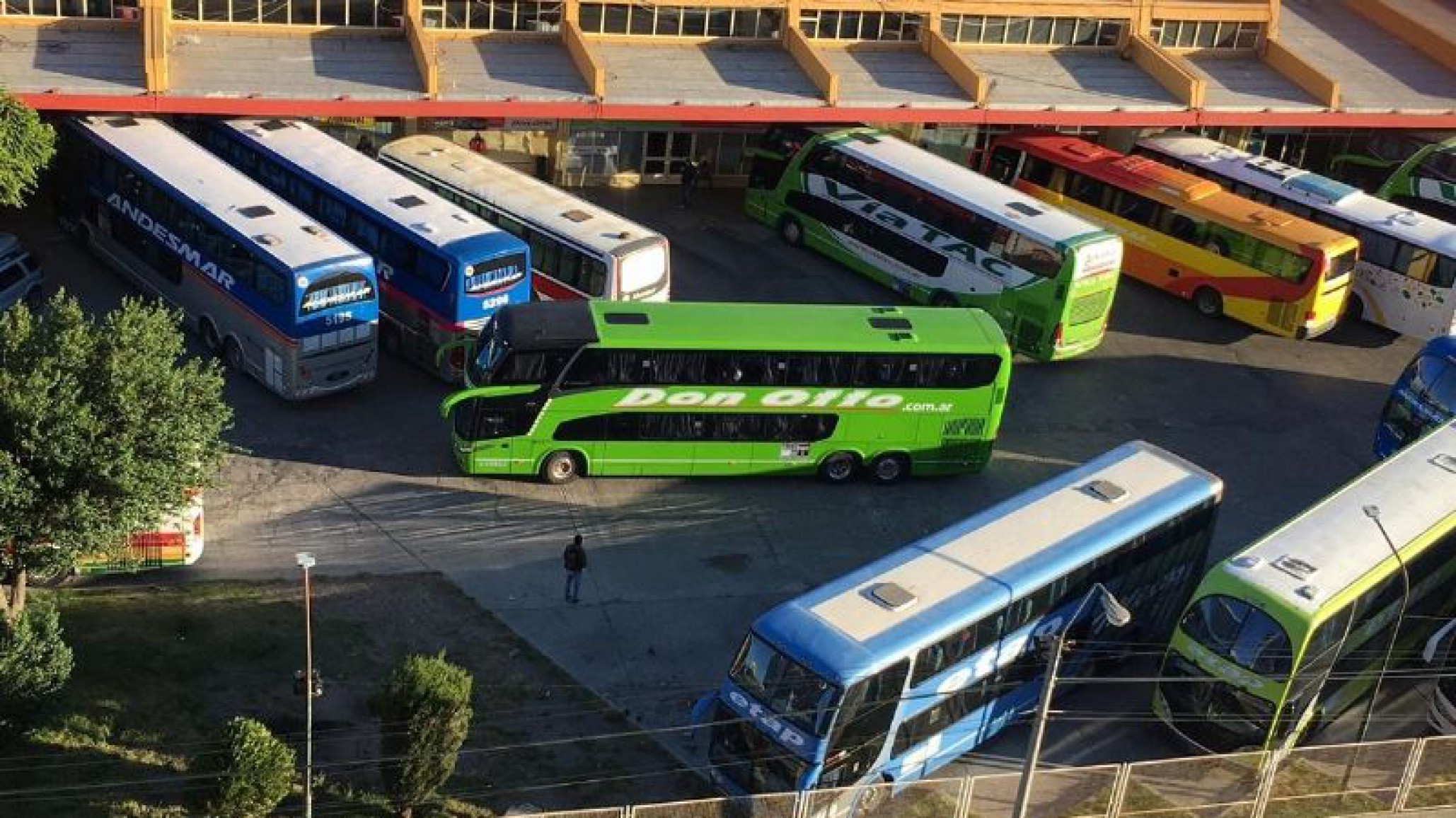 ¡Indignante! Positivo en cocaína para un chofer que trasladaba egresados de una escuela