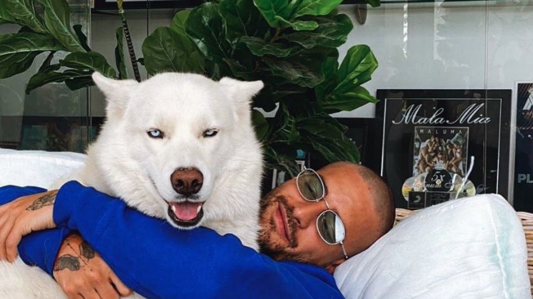 Maluma se aburrió y publicó su número de celular para que le escriban