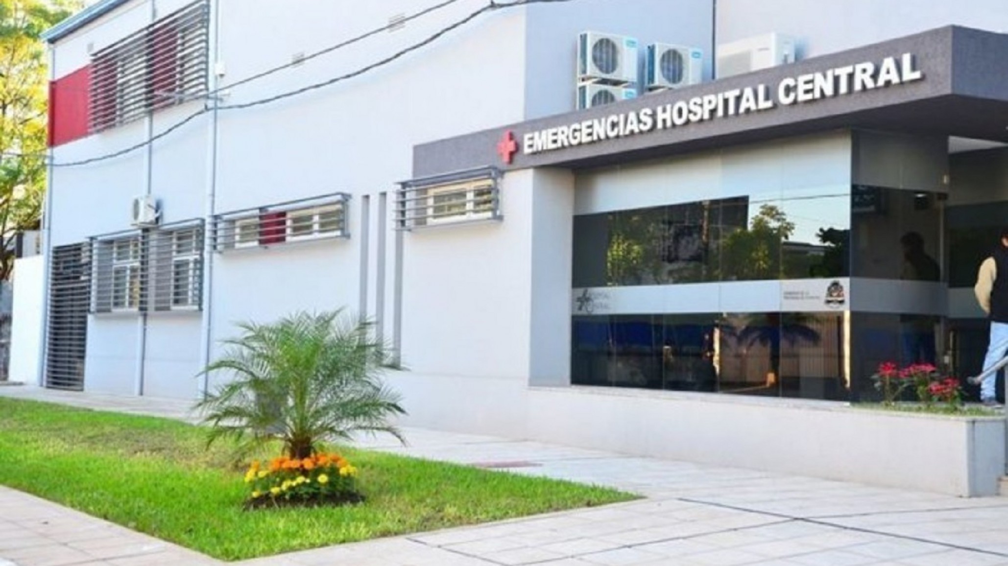 Docente jubilada de 66 años fue atacada por sus propios perros: tiene 17 mascotas