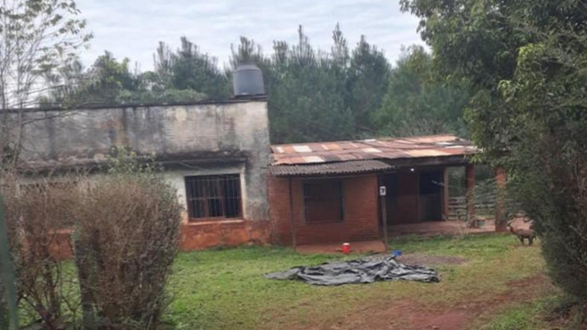 Misiones: mató a su pareja a tiros y se suicidó