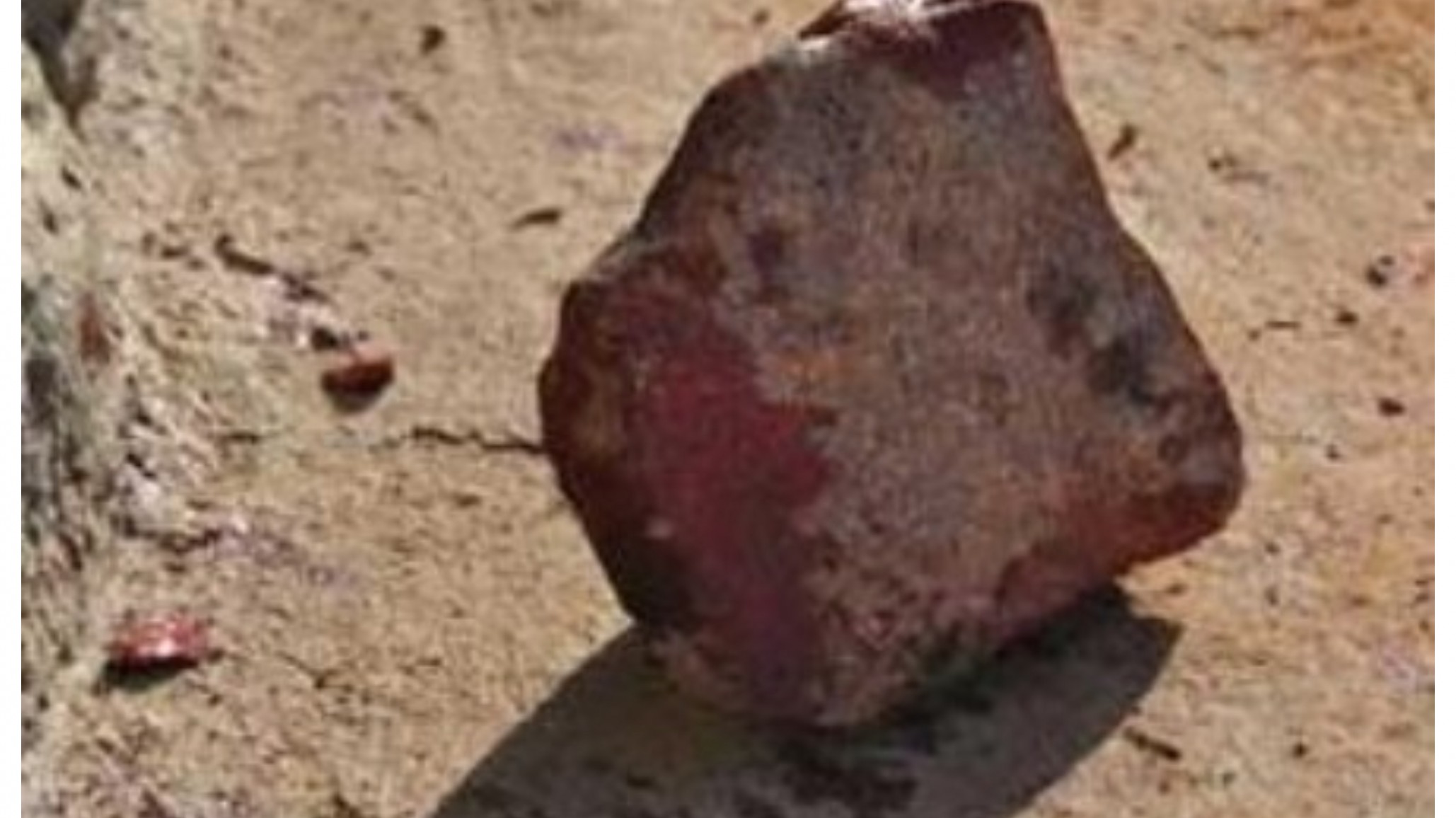 Brutal golpiza a un docente: le arrancaron hasta cuero cabelludo