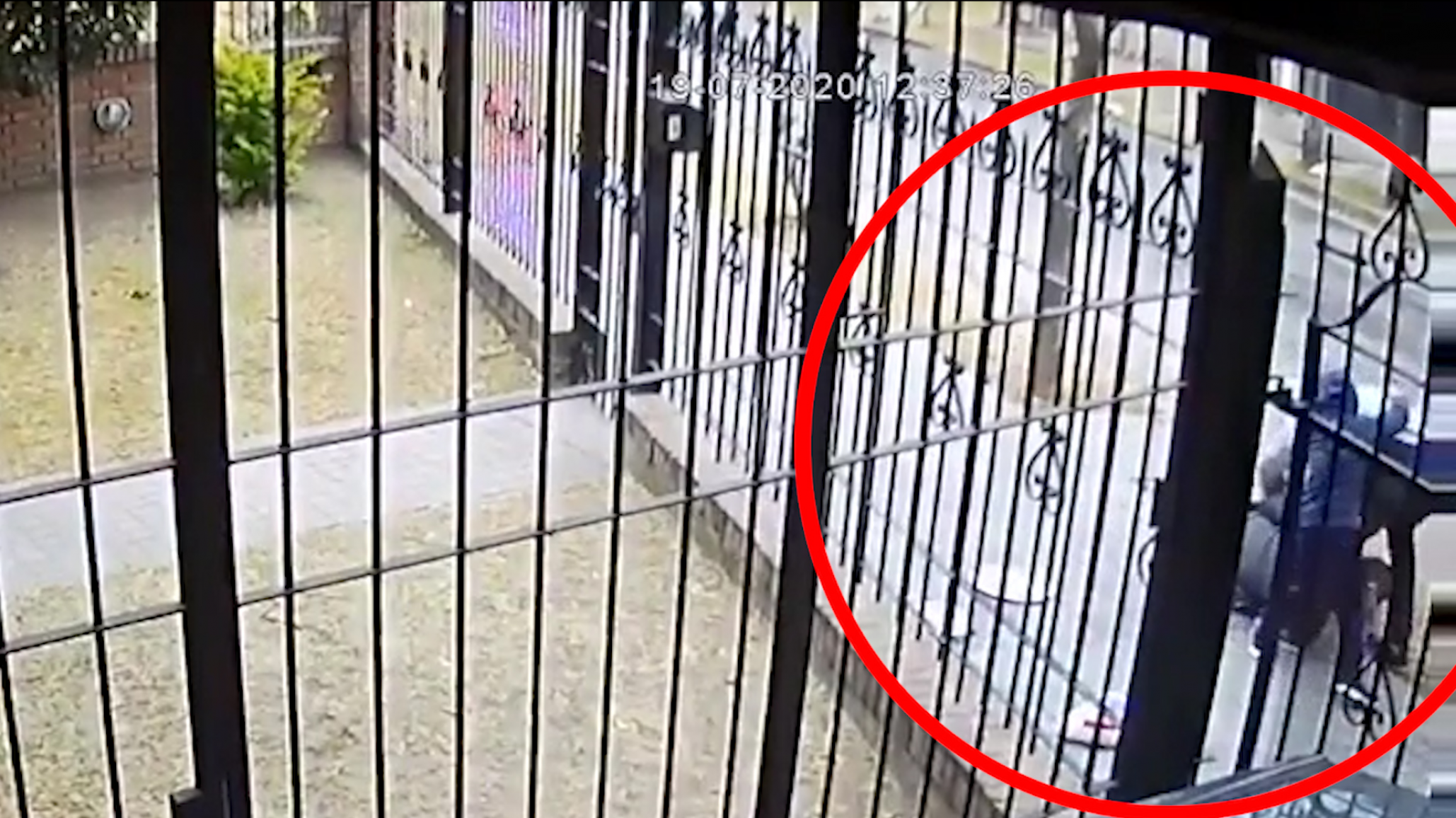 Nene de 5 defendió a su mamá de un robo