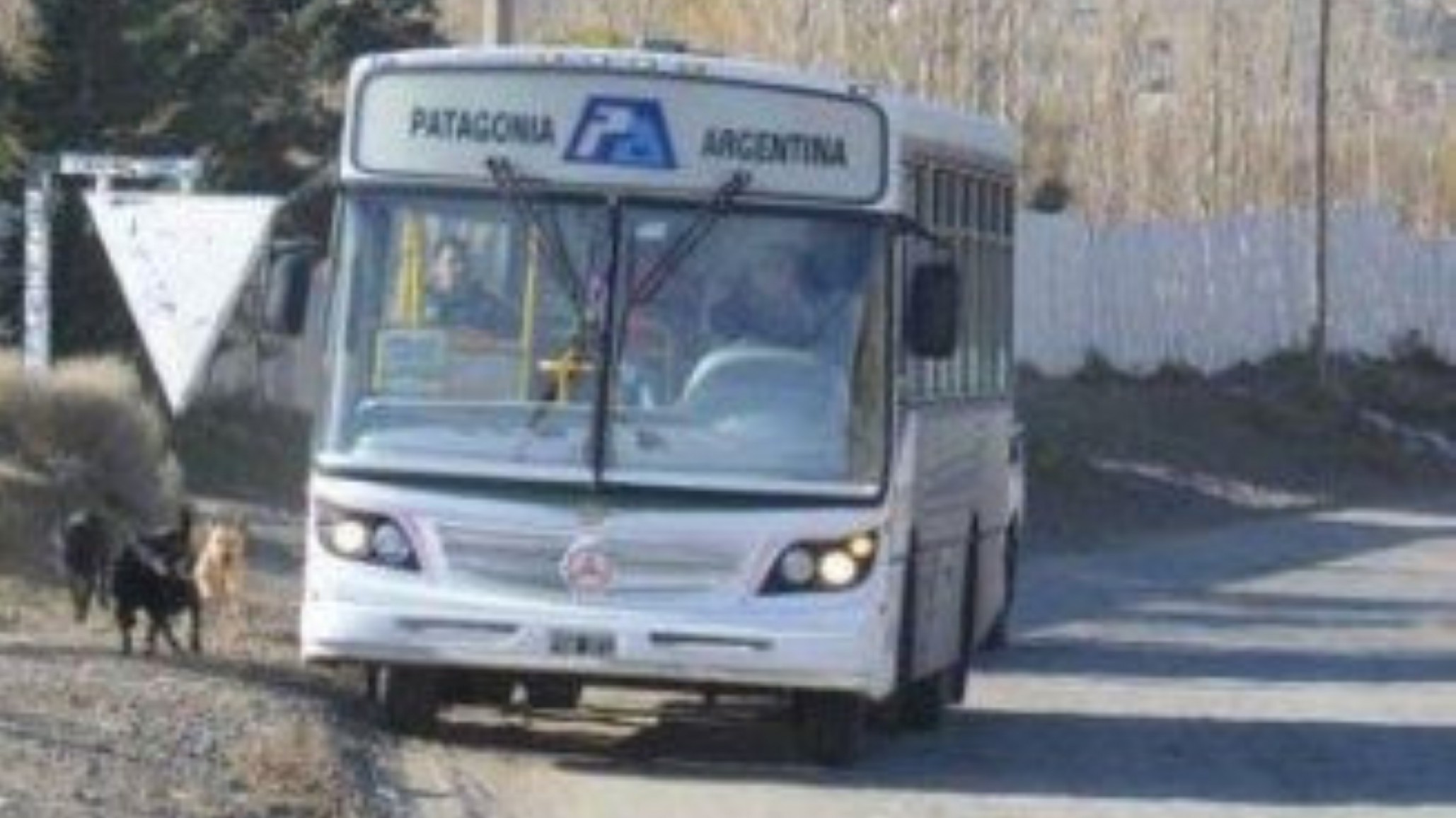 En Comodoro la Municipalidad garantizó el funcionamiento de todas las líneas de transporte