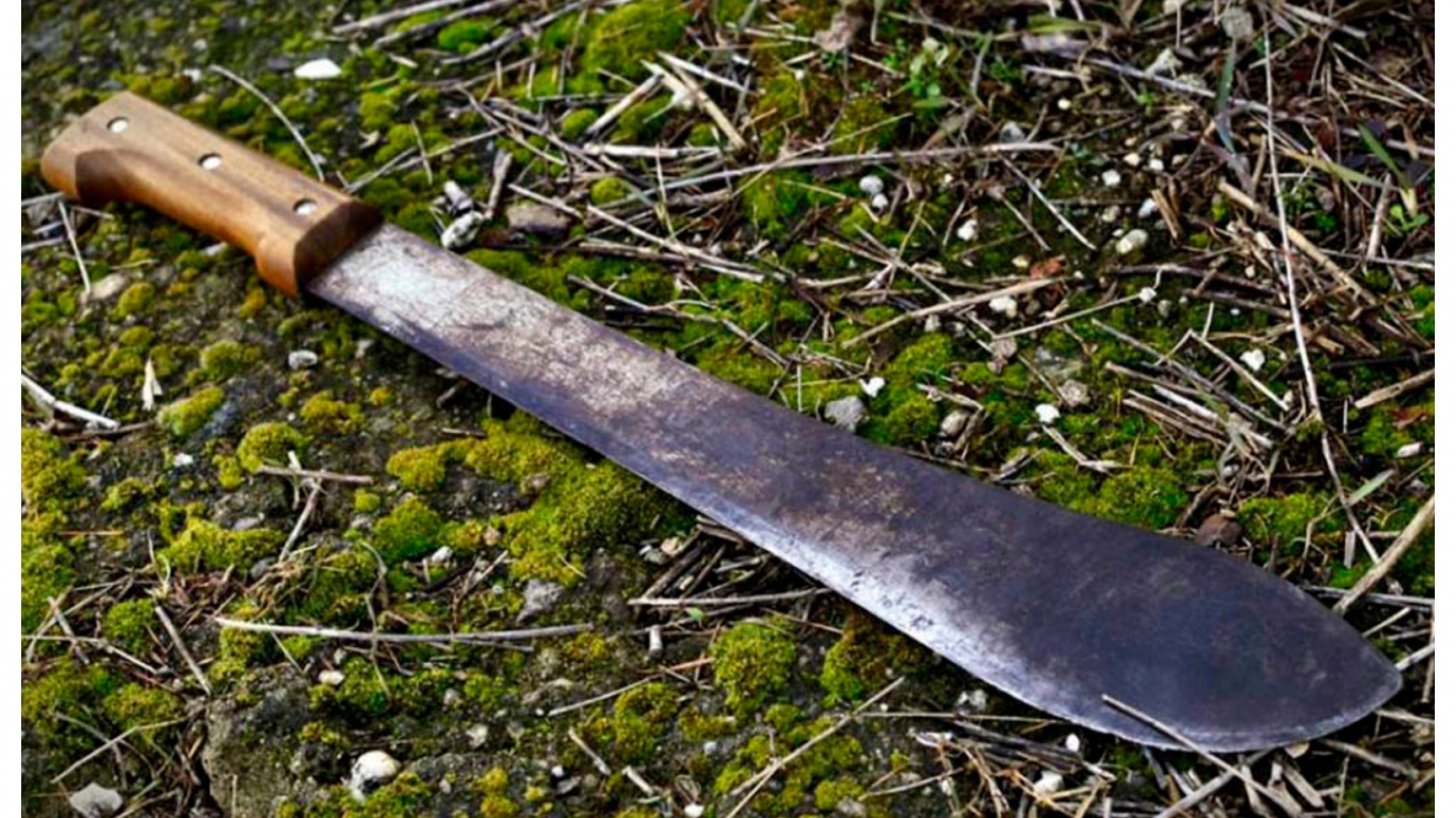 Crueldad: denunciaron a un hombre que con un machete le cortó la cola a un perro