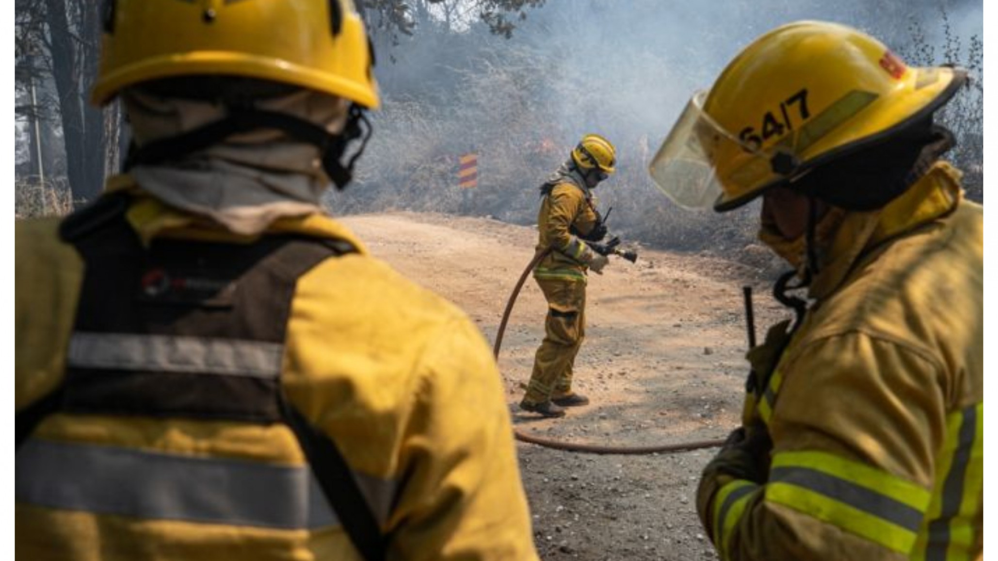 Incendios forestales: otorgarán a brigadistas un bono de 10 mil pesos por tres meses