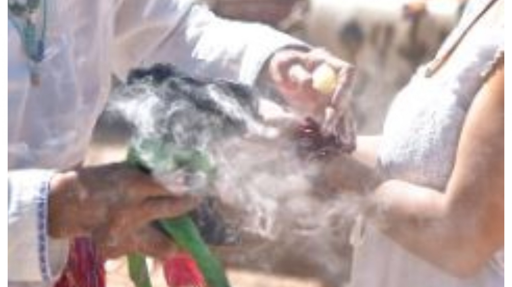 Le dijo a sus padres “la bruja me quiere llevar” y horas después fue hallada muerta