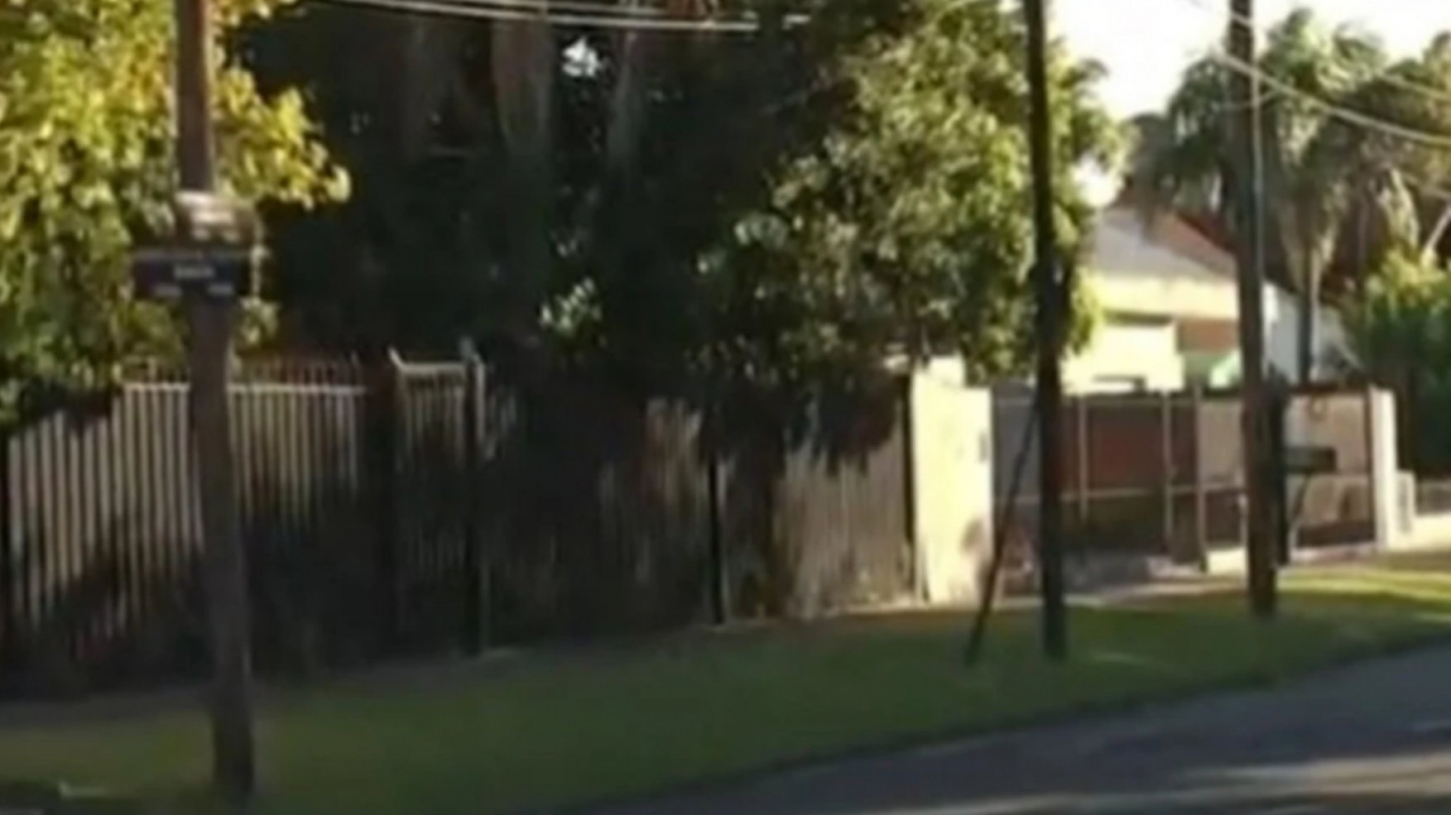 Accidente fatal: Atropelló a su madre al sacar el auto