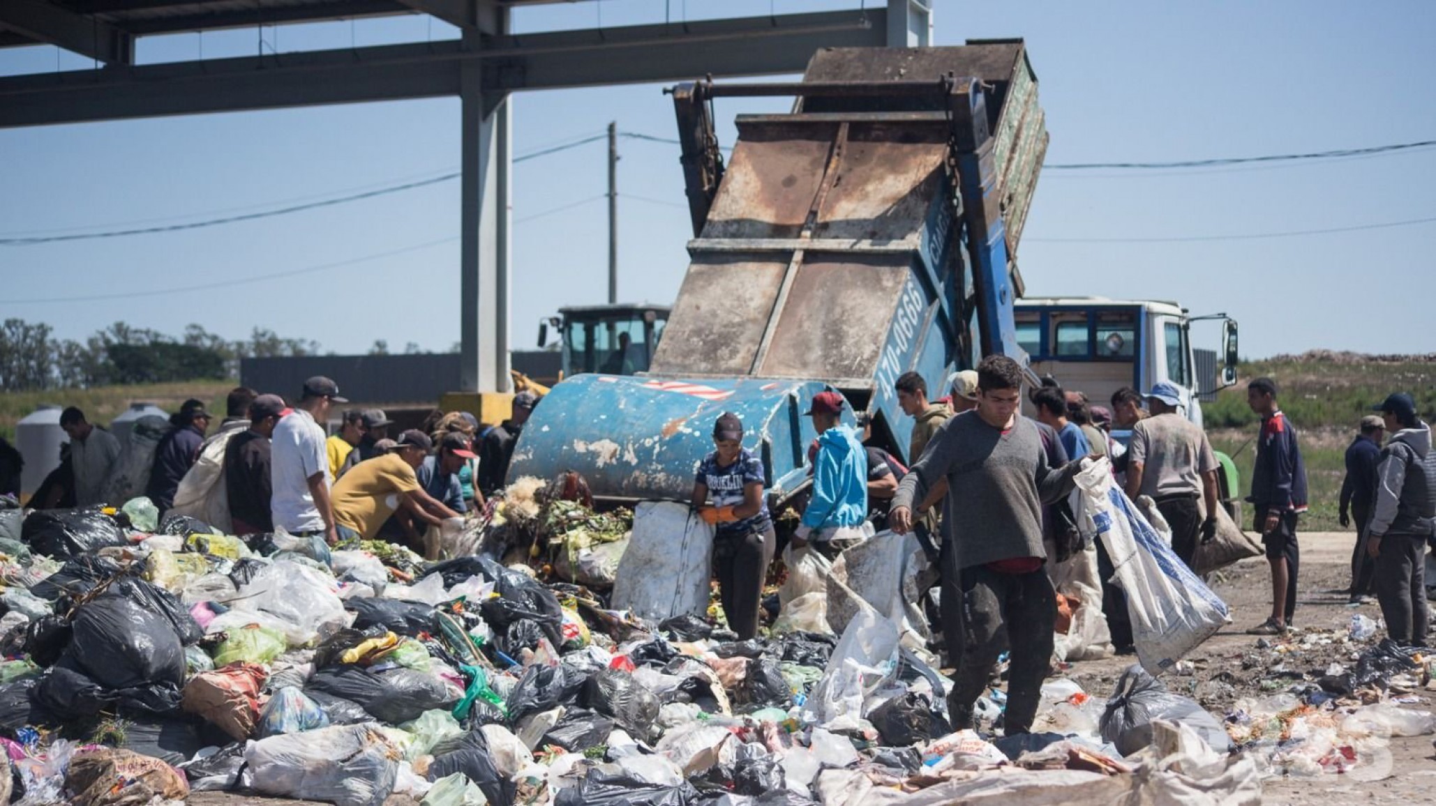 Encontraron nueve fetos en descomposición en Mar del Plata