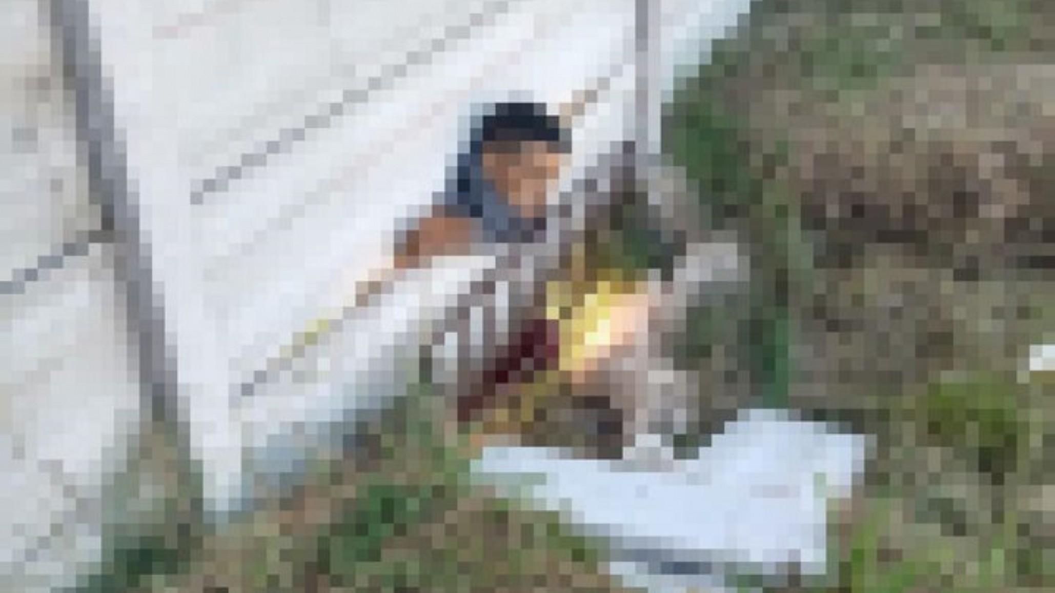 Ladrón quiso robar en una casa pero murió aplastado por un muro