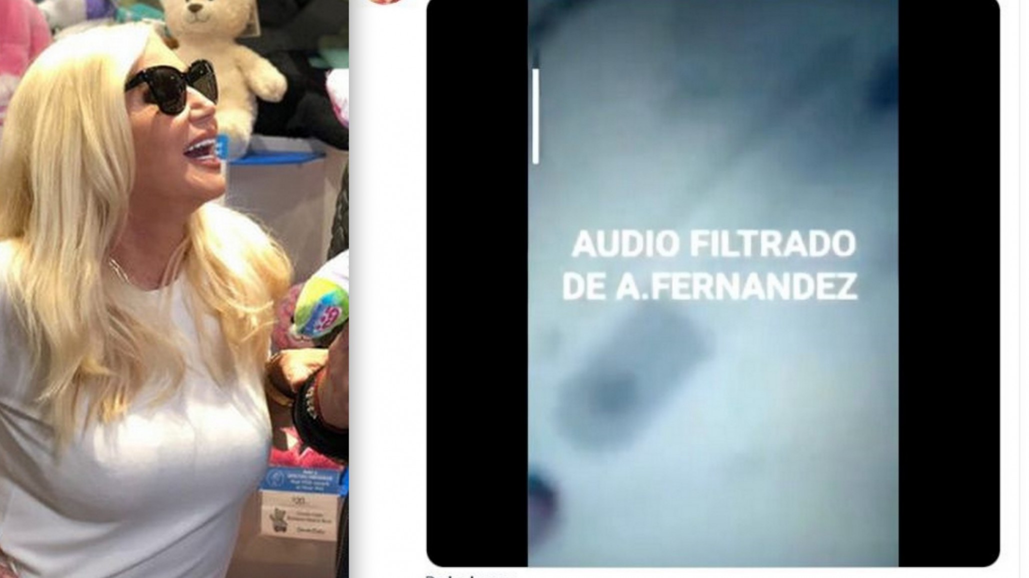 Susana Giménez subió y borró un audio fake de Alberto Fernández