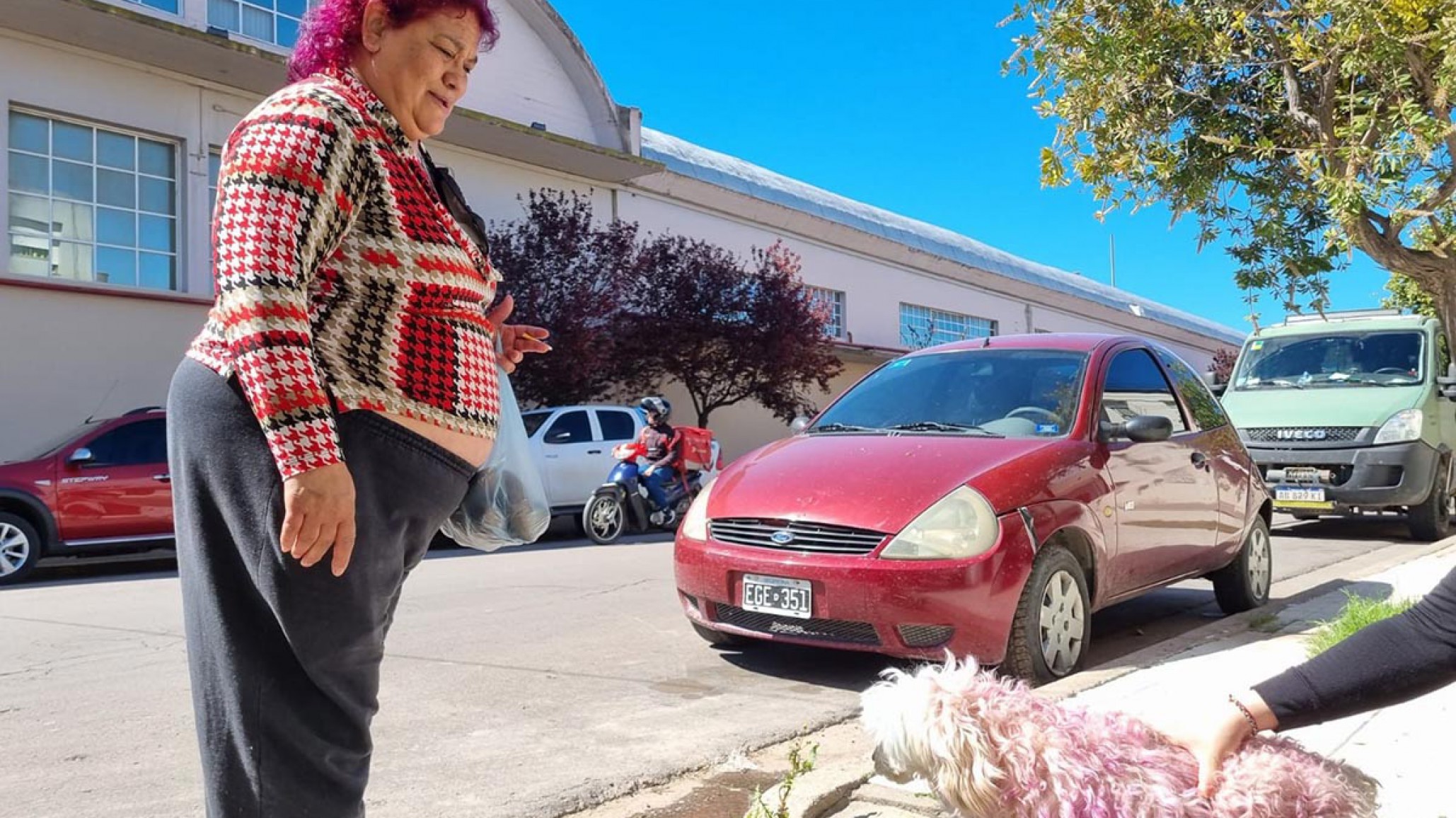 Tiñe a su perro para hacer juego con su cabello: ?Lo pinto con remolacha o colorante?