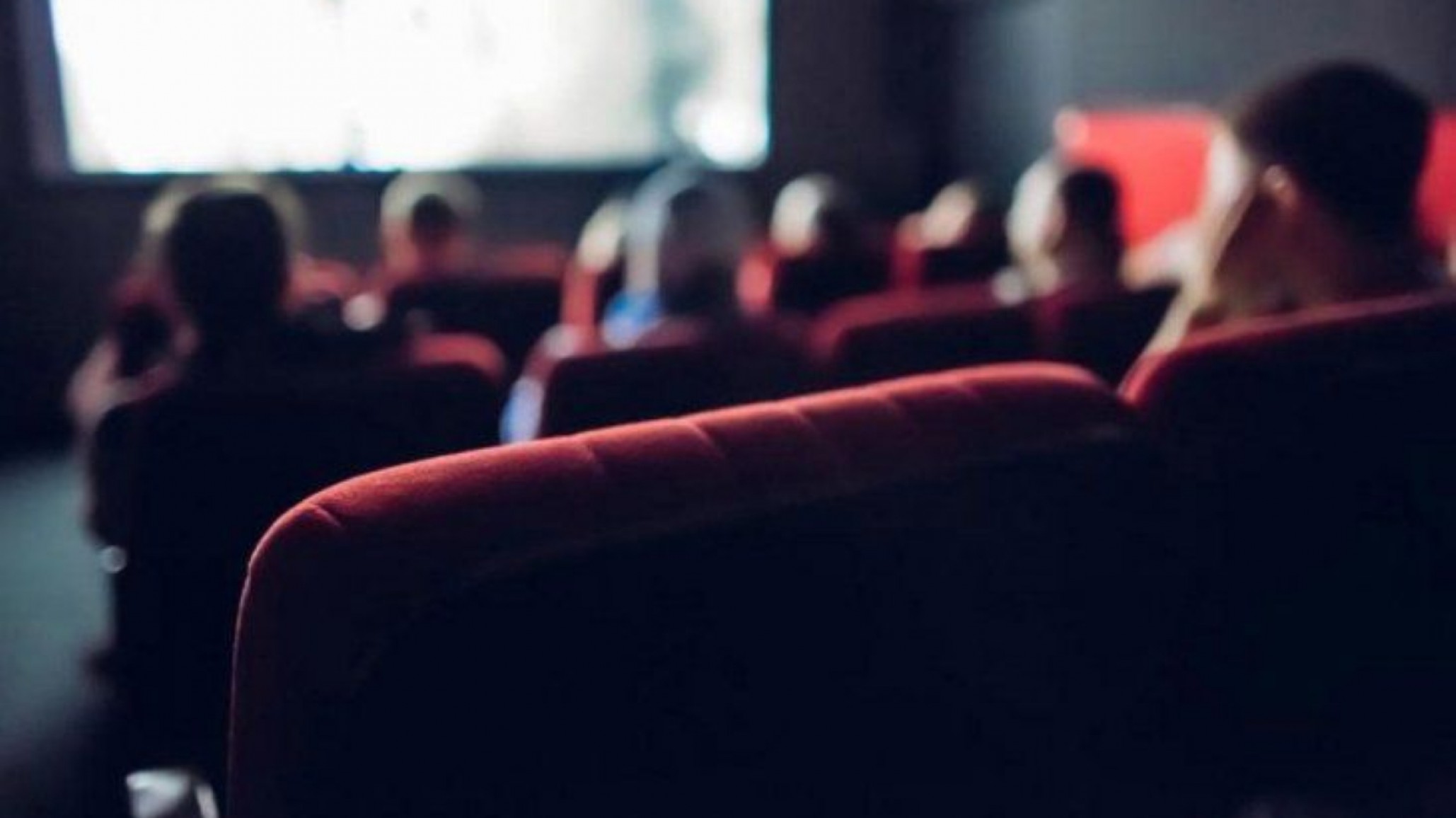 Se viene a la segunda edición del Festival Internacional de Cine Ambiental de la Patagonia