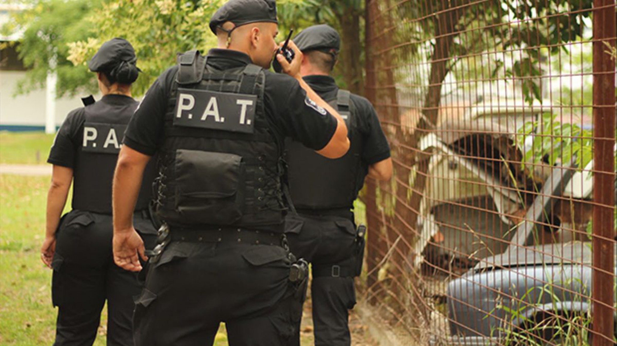 Femicidio en Rosario: Asesinaron a una mujer a puñaladas y buscan a su expareja