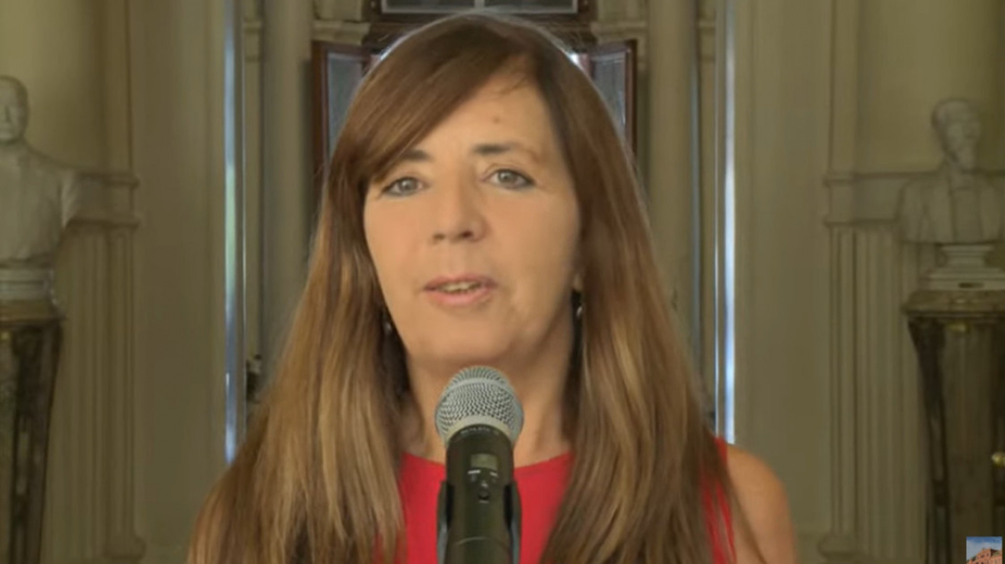 Cerruti justificó la medida del Banco Central “es por un tiempo”