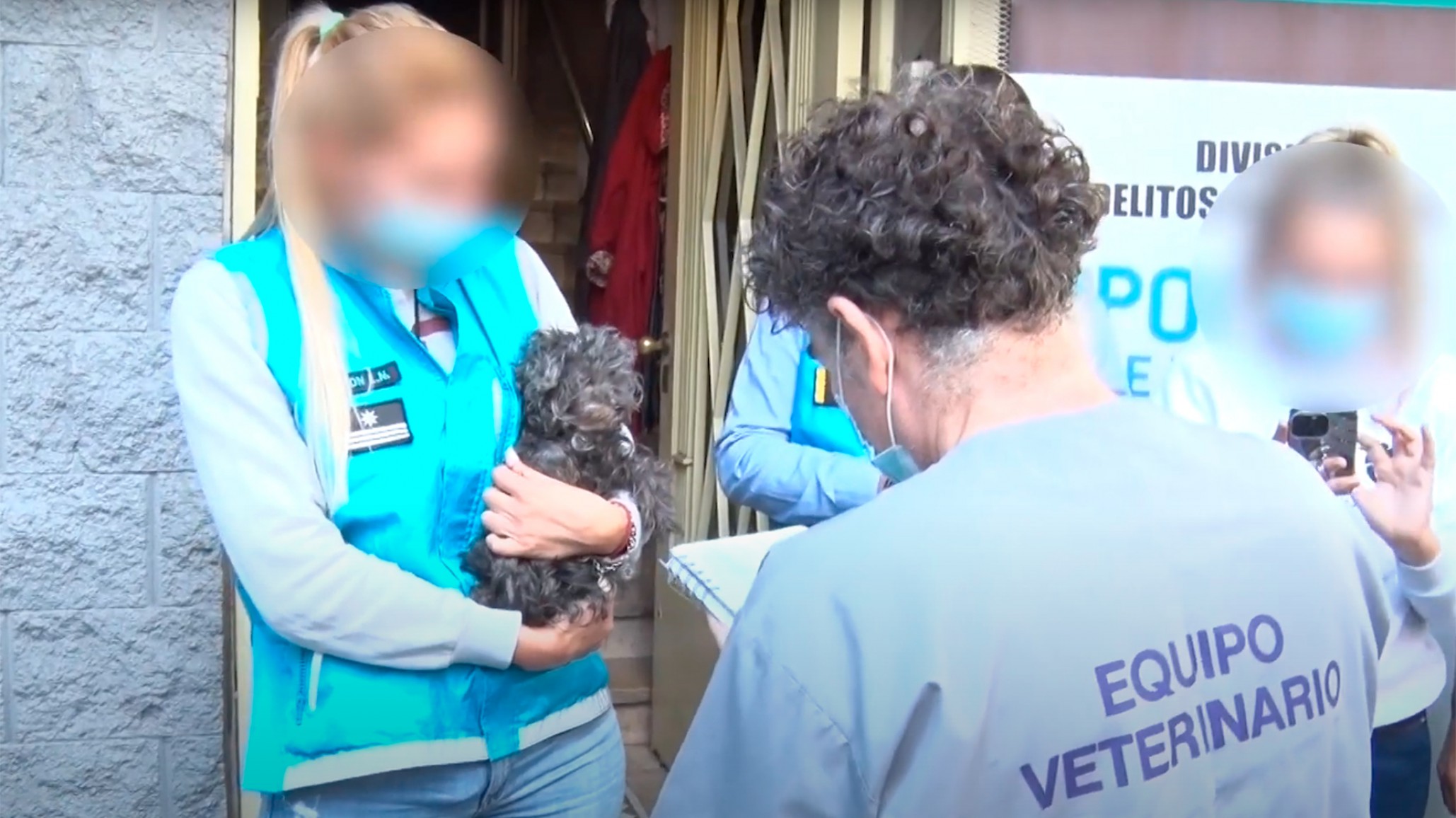 Clausuraron un criadero ilegal de perros y rescataron a 24 animales