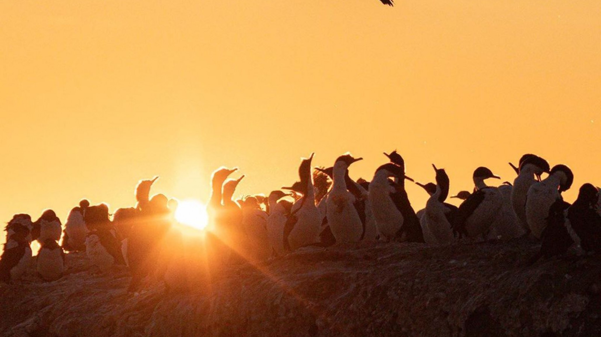 Así se presenta el pronóstico para el resto del martes