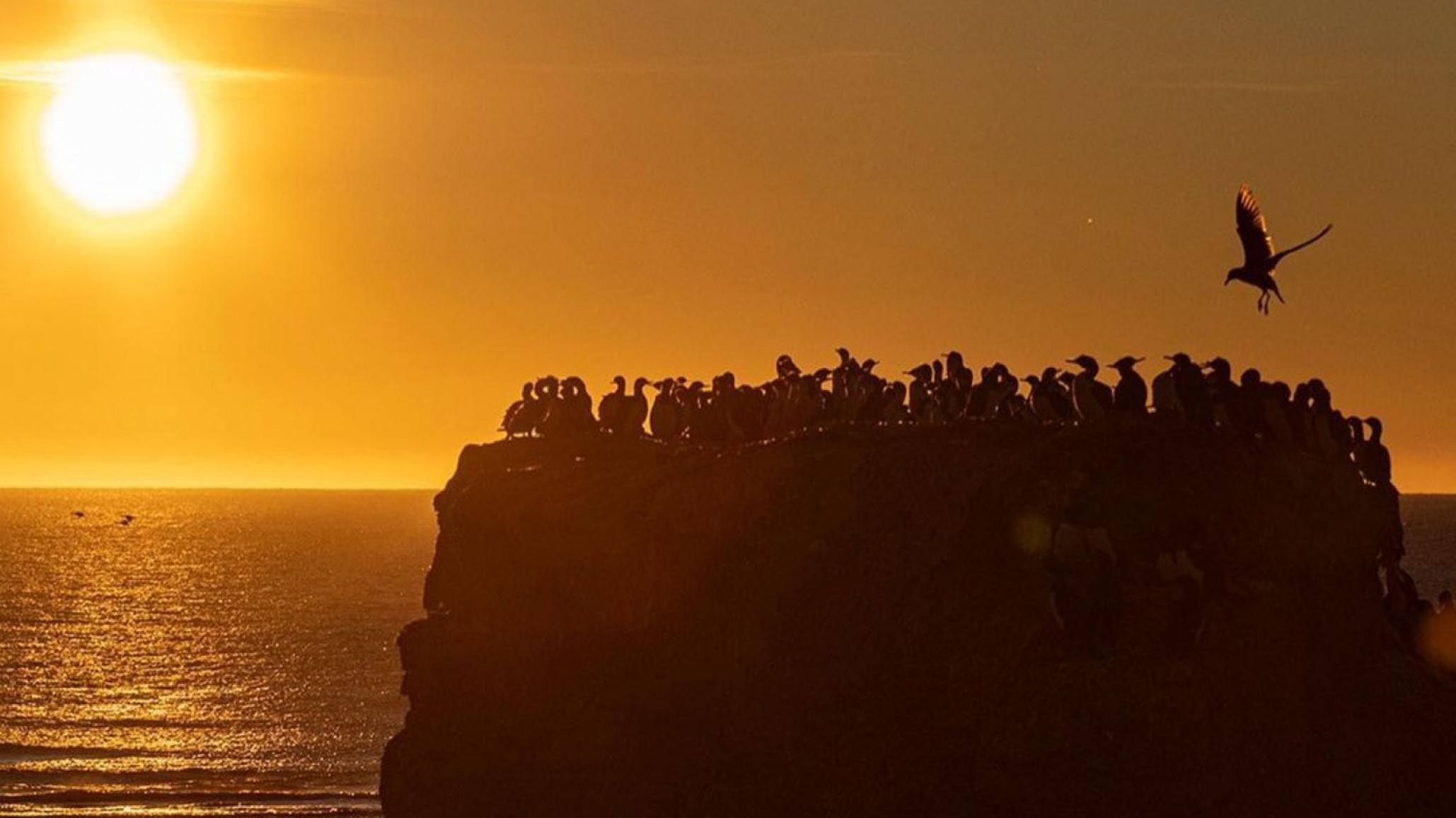 La semana arranca con una máxima de 7º y viento