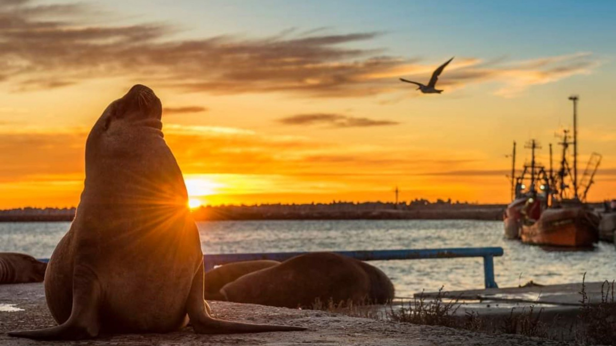 El pronóstico anticipa cielo nublado para este viernes