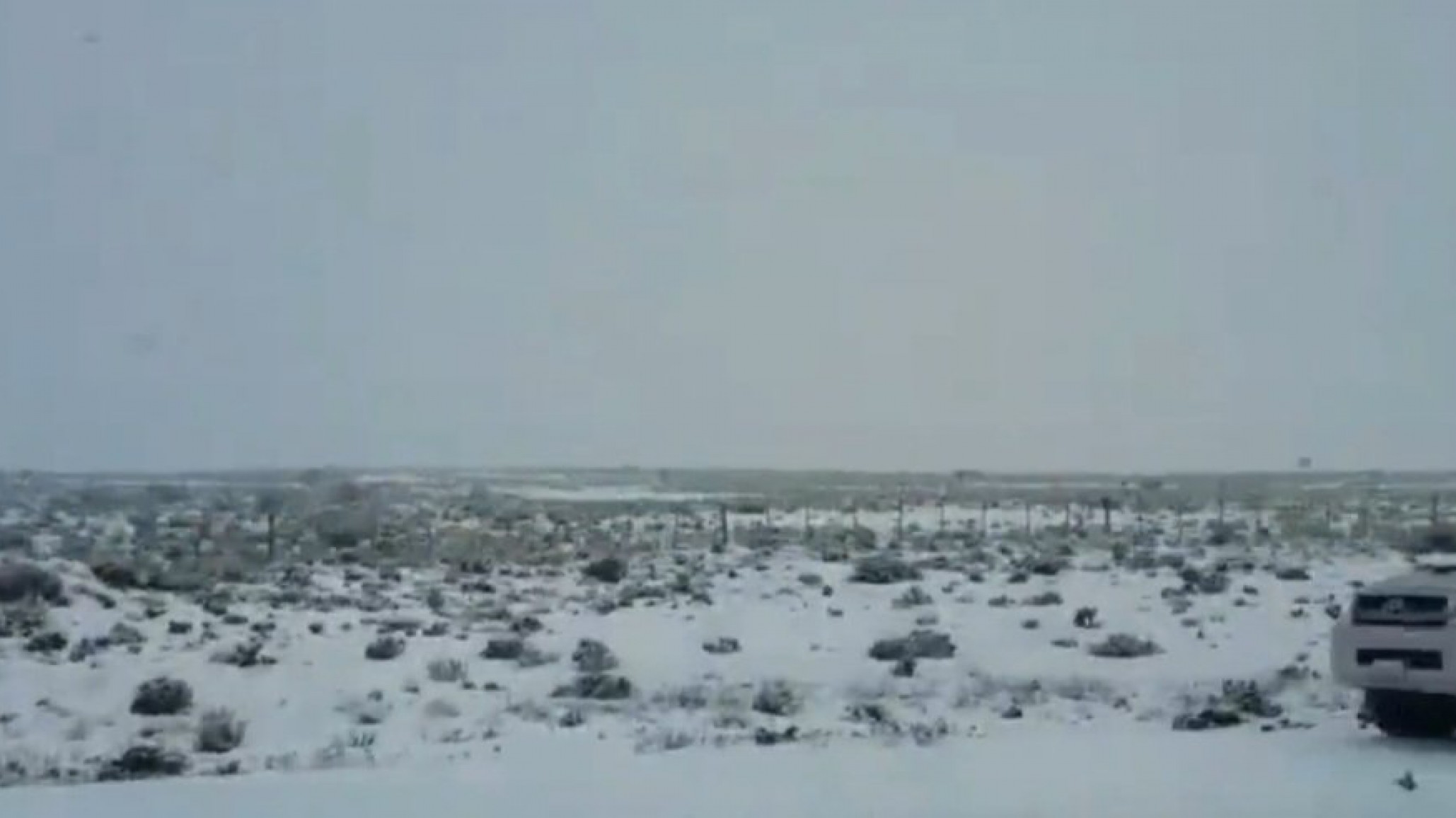 <p>Foto: @Comodoro24</p>