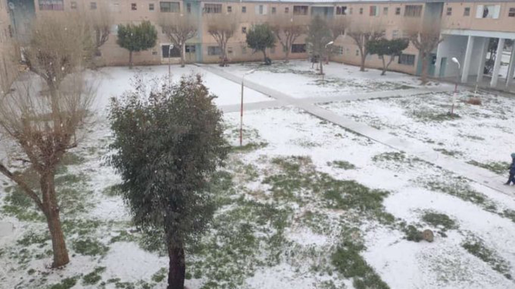 Nieve en Comodoro: mirá las primeras postales, se suspendieron actividades