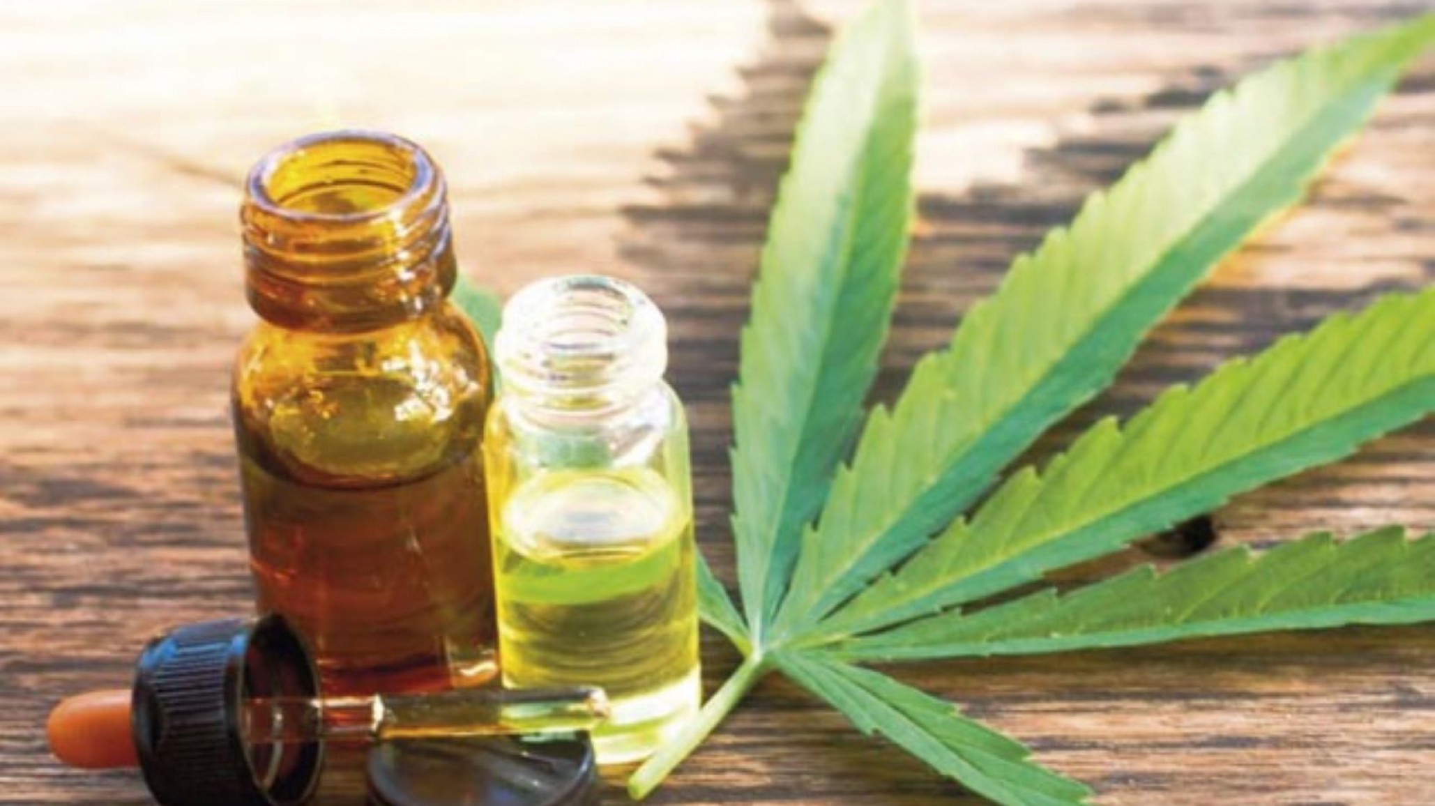 Cannabis medicinal: “esperemos se dé la oportunidad a nuestra provincia y ser líderes en producción”