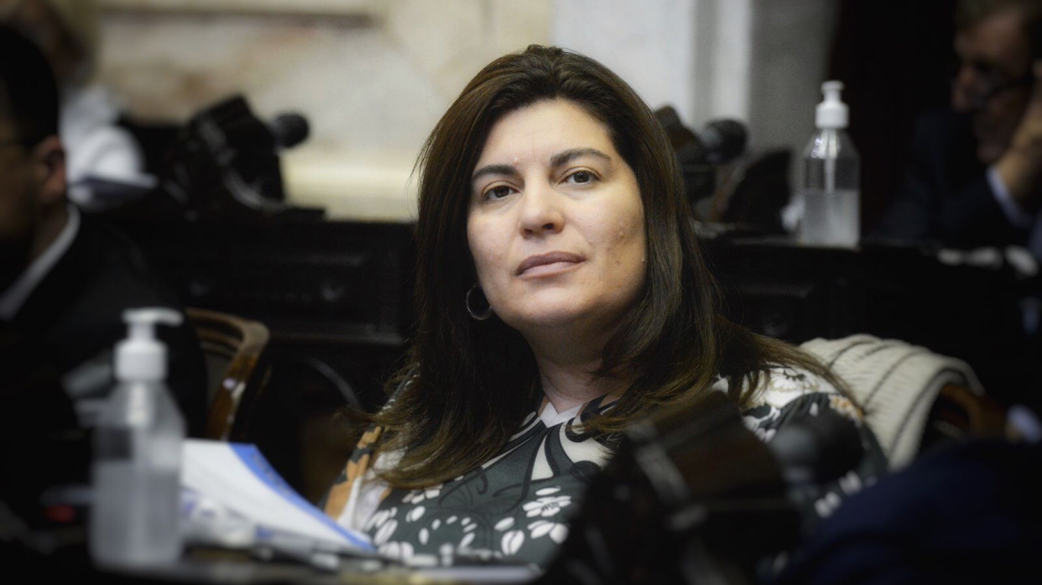 Ana Clara Romero: “Que haya PASO o no, no le ahorra un peso a nadie ni le facilita la vida a la gente”