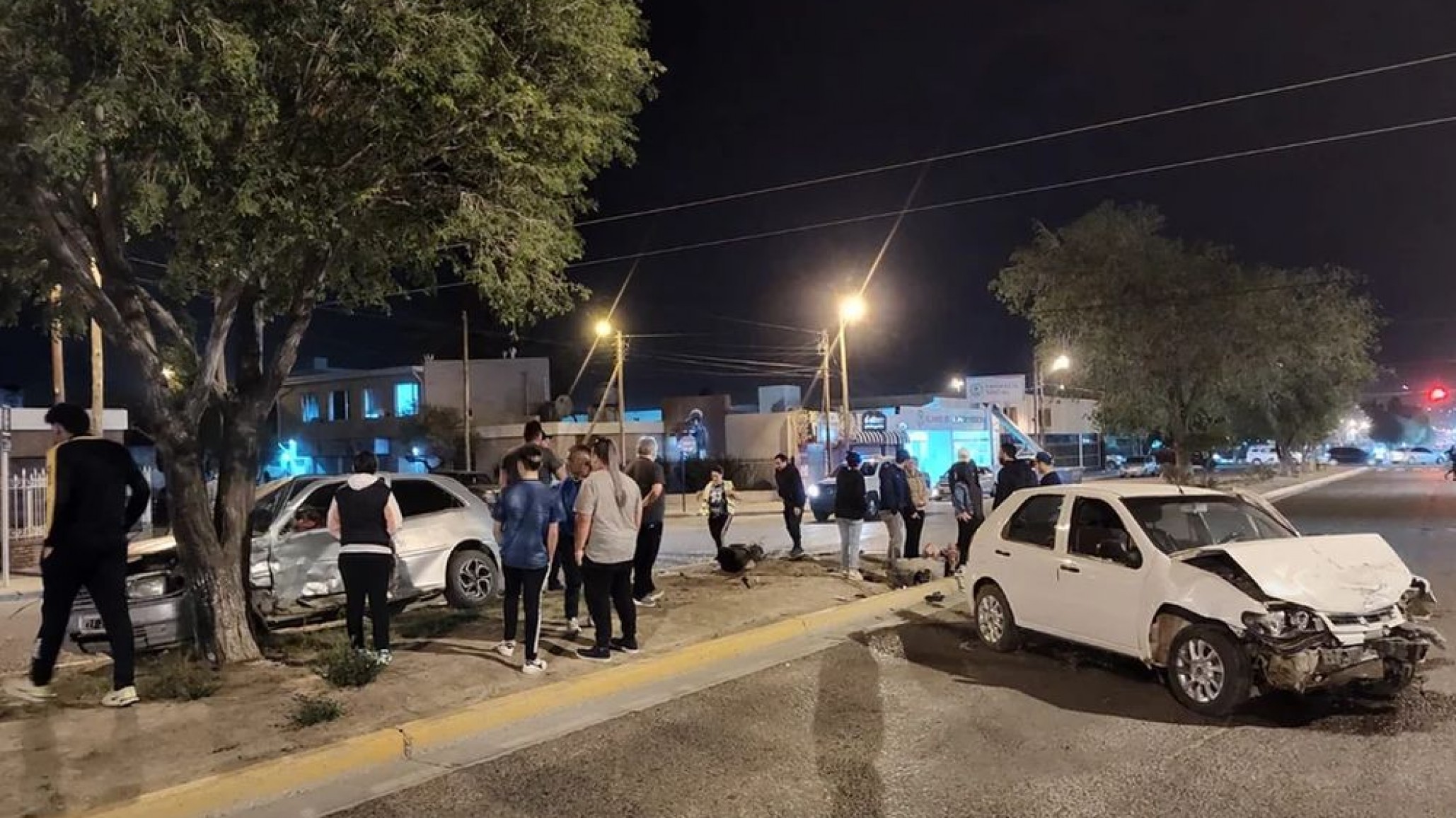 <p>Foto: Patria Austral</p>