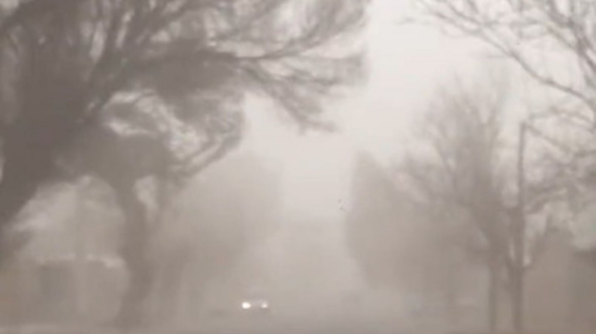 Emitieron alerta amarilla por fuertes vientos en Chubut: prevén ráfagas de hasta 90 km/h