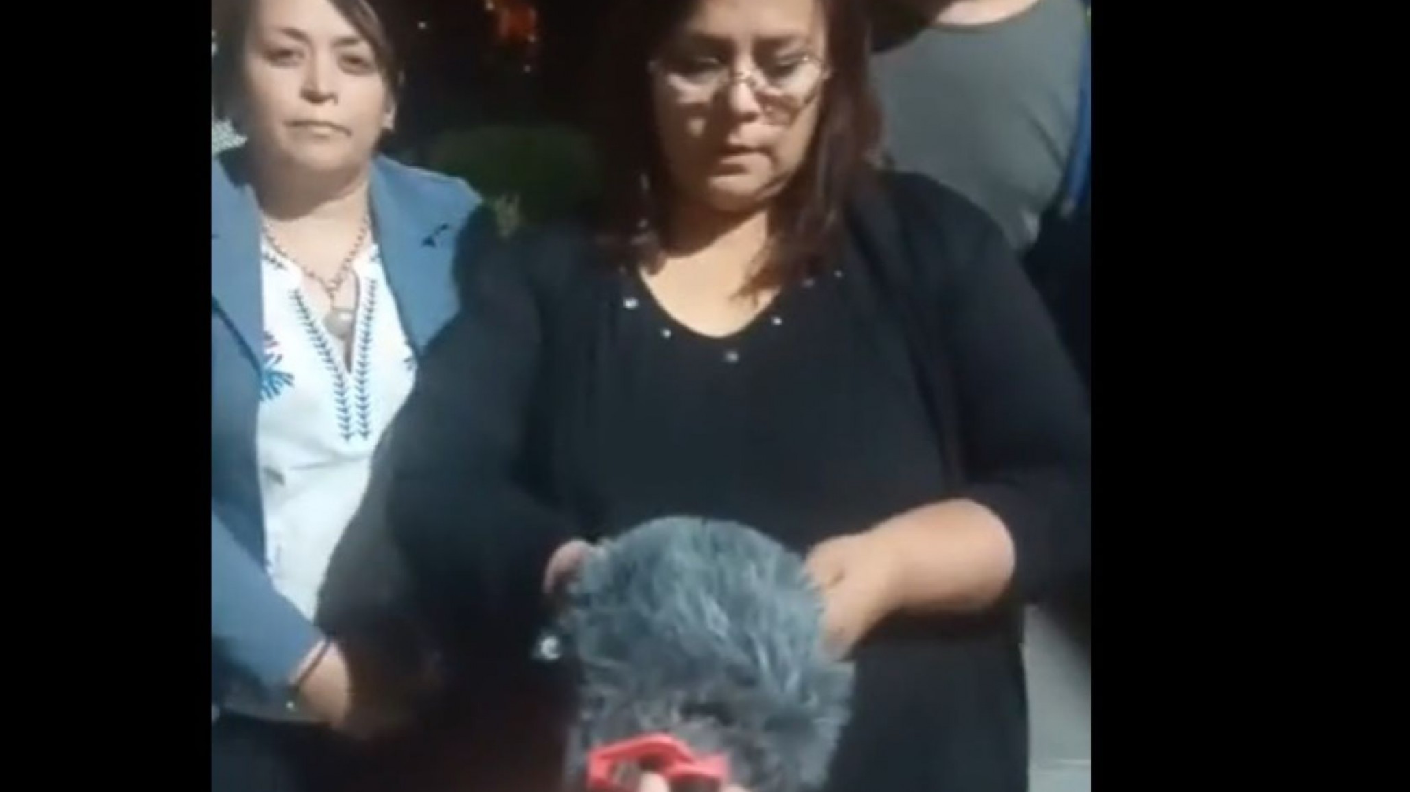 Arrojaron dos bombas molotov a la sede de ATECH Comodoro