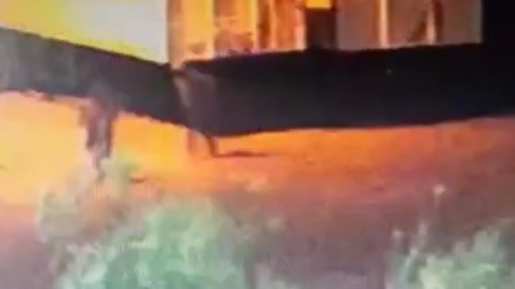 <p>Foto y video: ADN SUR</p>