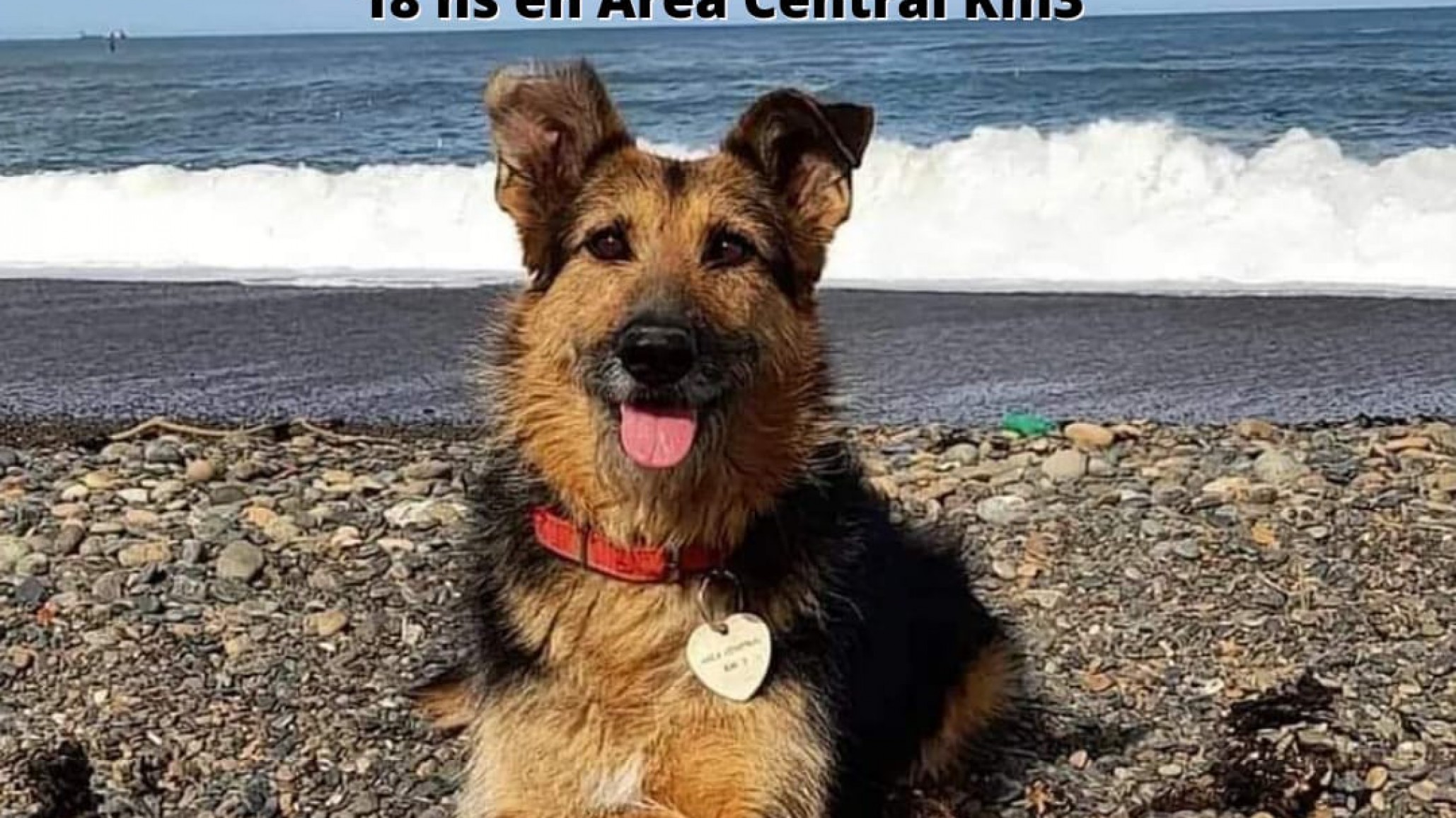 Este sábado es la marcha pacífica para pedir justicia por “Barbi”