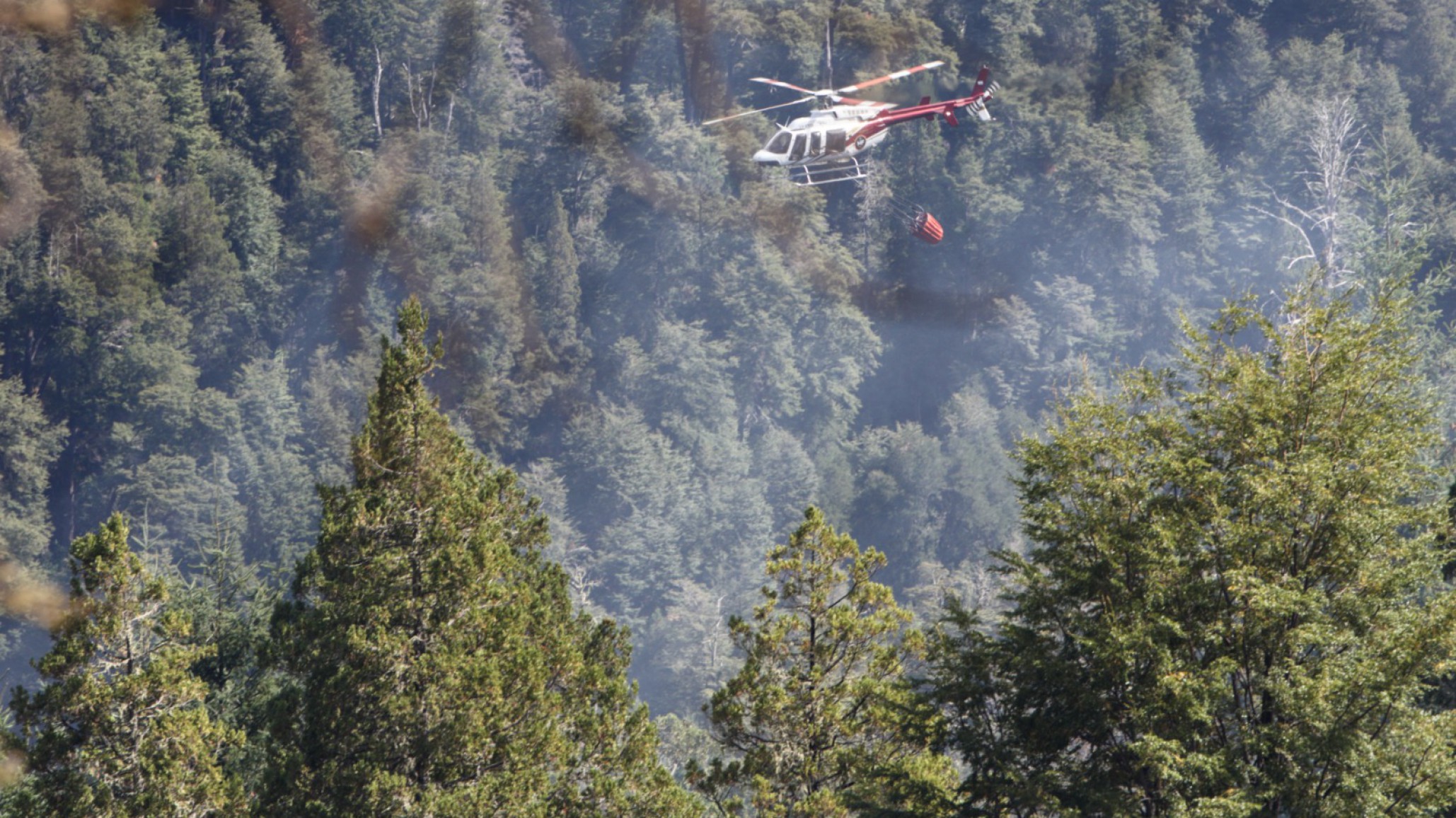 El Ministerio de Ambiente denunció al presunto autor del incendio en El Bolsón