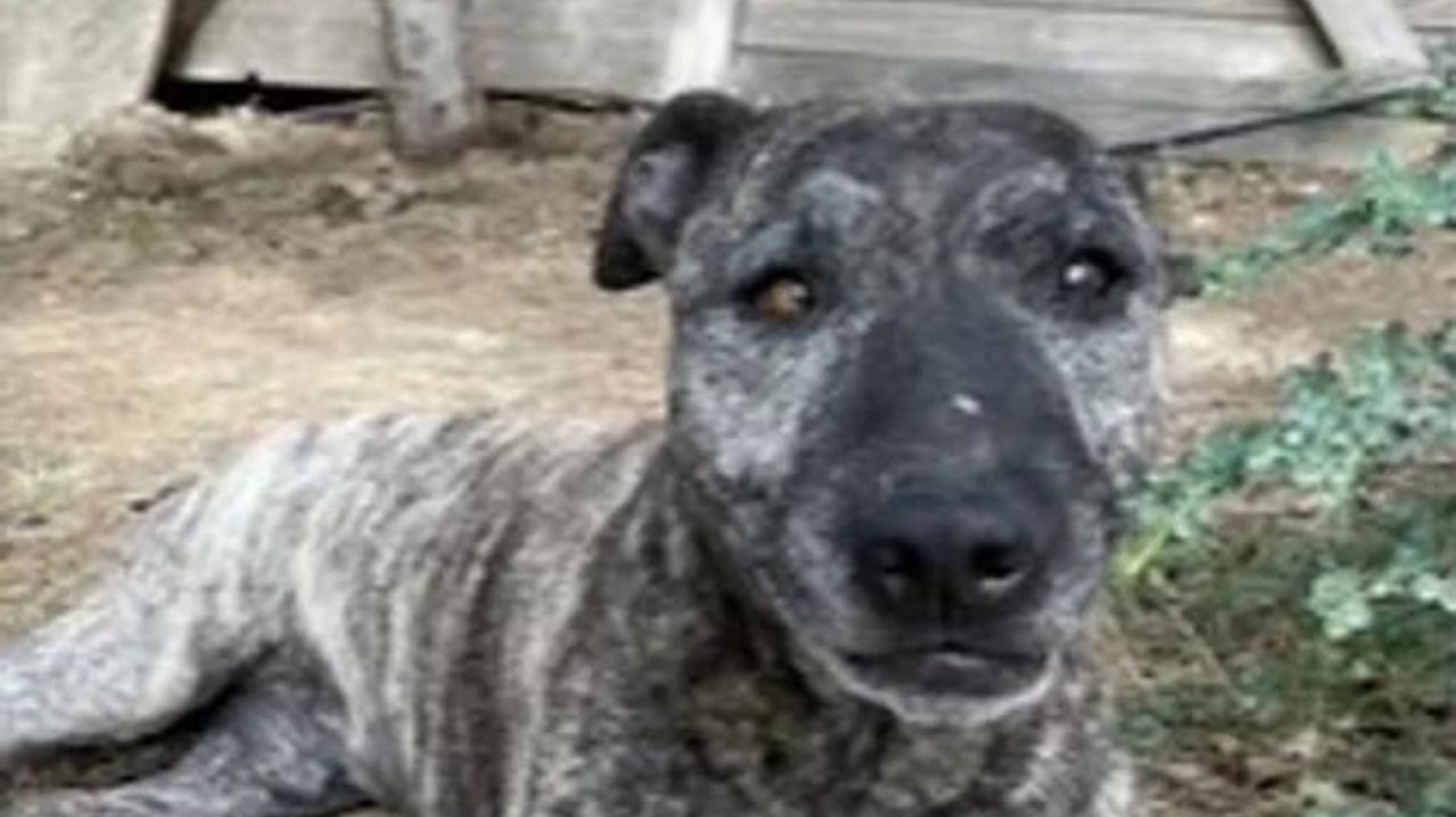 <p>Foto: Radio del Mar</p>