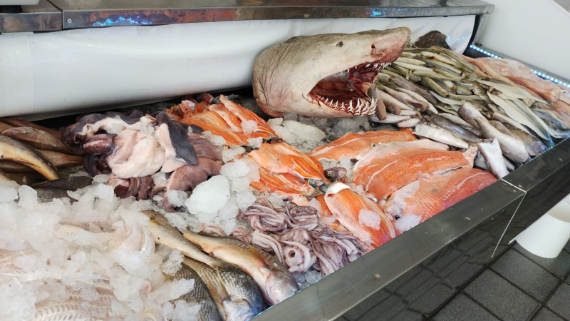 Semana Santa pero austera, 50% menos de venta en pescado