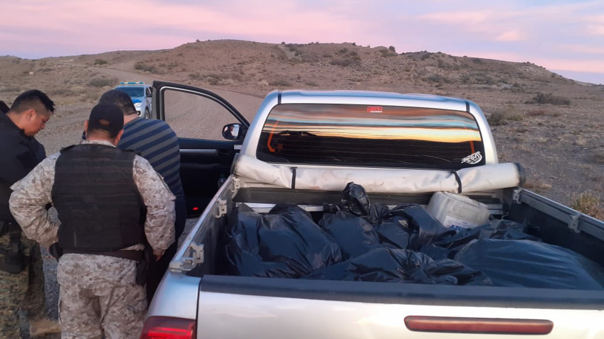 Conductor llevaba 9 guanacos despostados en la caja de su camioneta