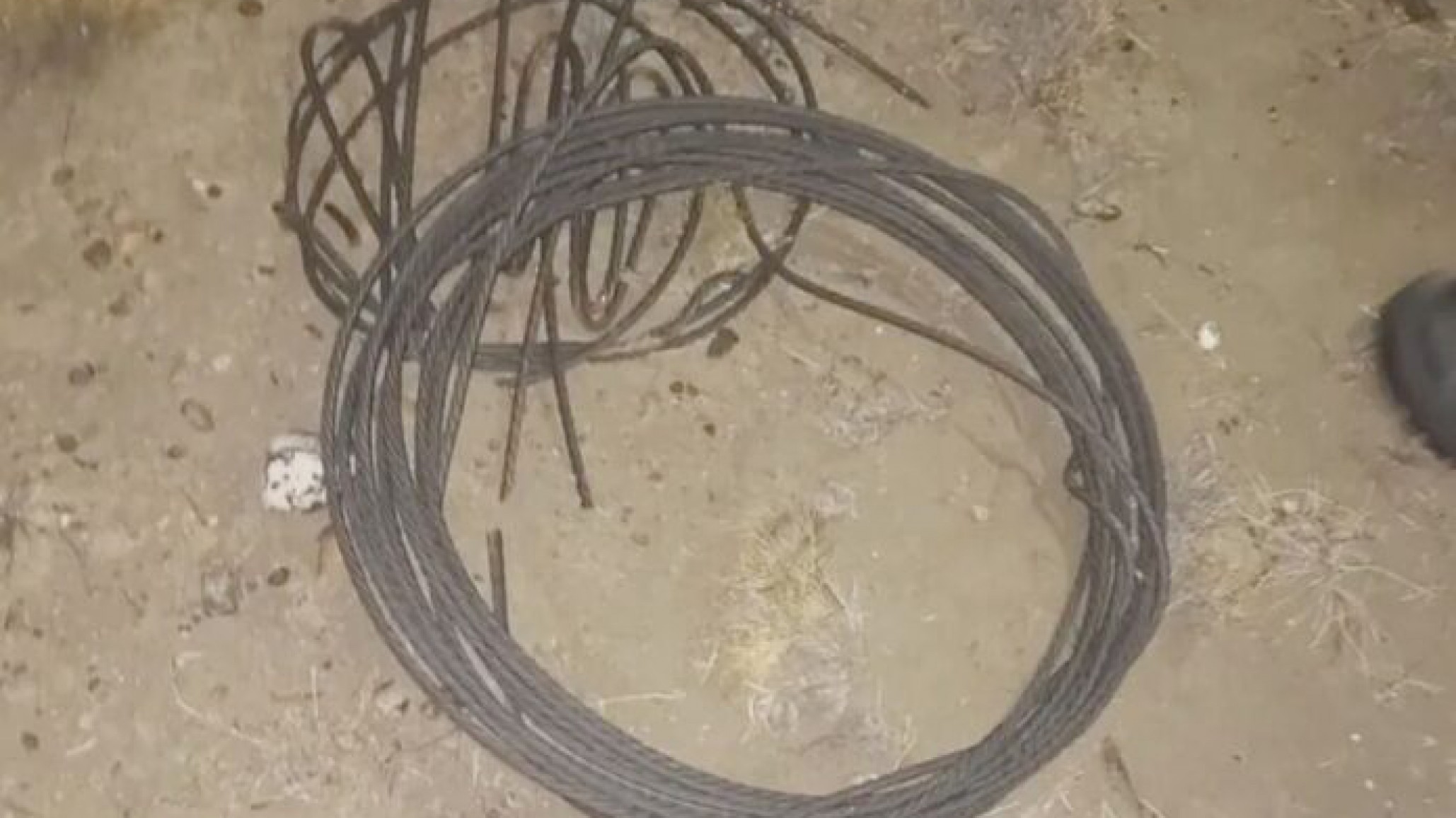 <p>Foto: Patria Austral</p>