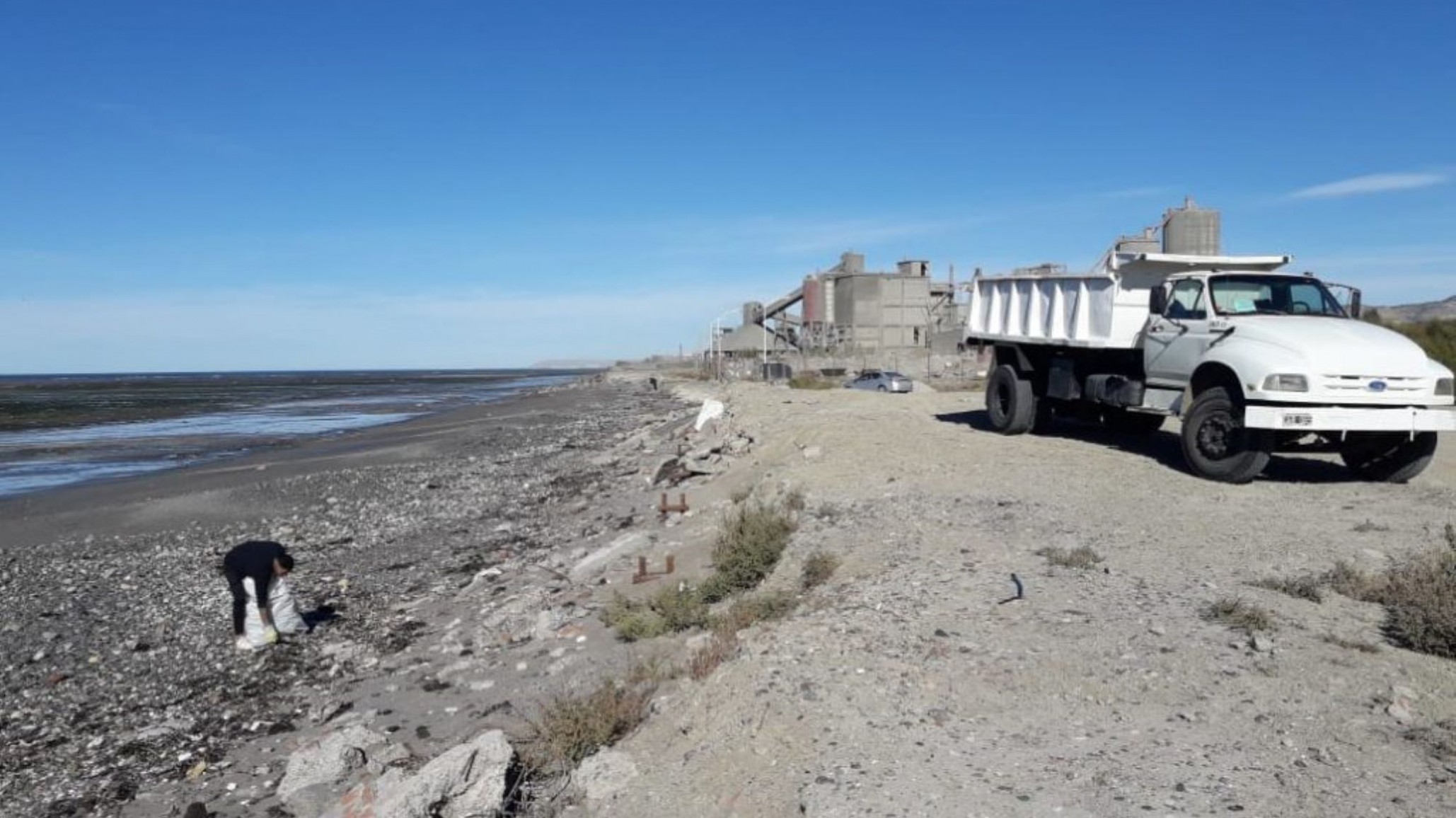 Nuevo caso de maltrato animal en Comodoro: Asesinaron de un disparo a un perro