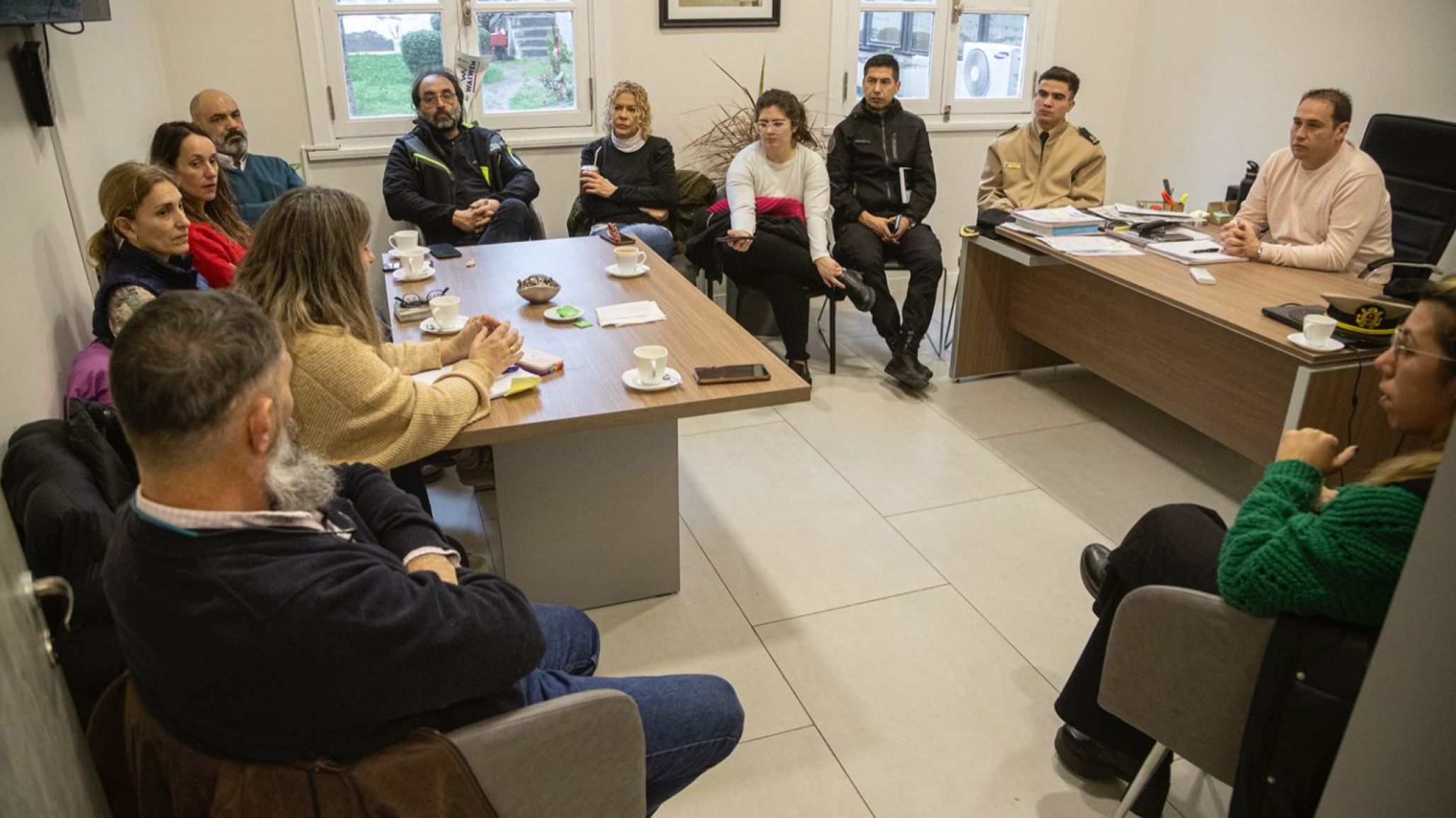 Gripe aviar: habilitan el 103 para denuncias de casos sospechosos
