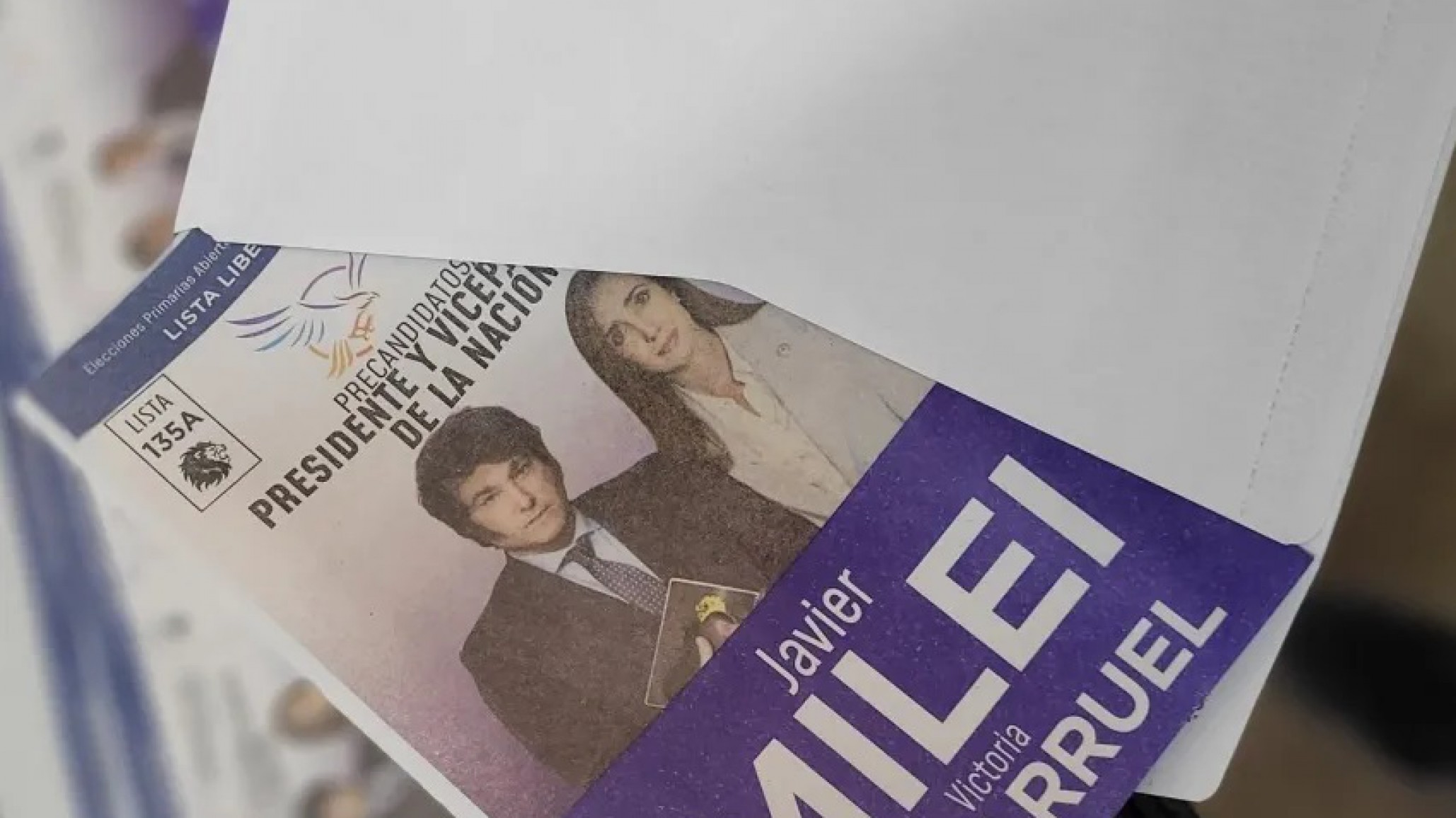 Detuvieron a un menor de 16 años que estaba robando las boletas de Milei