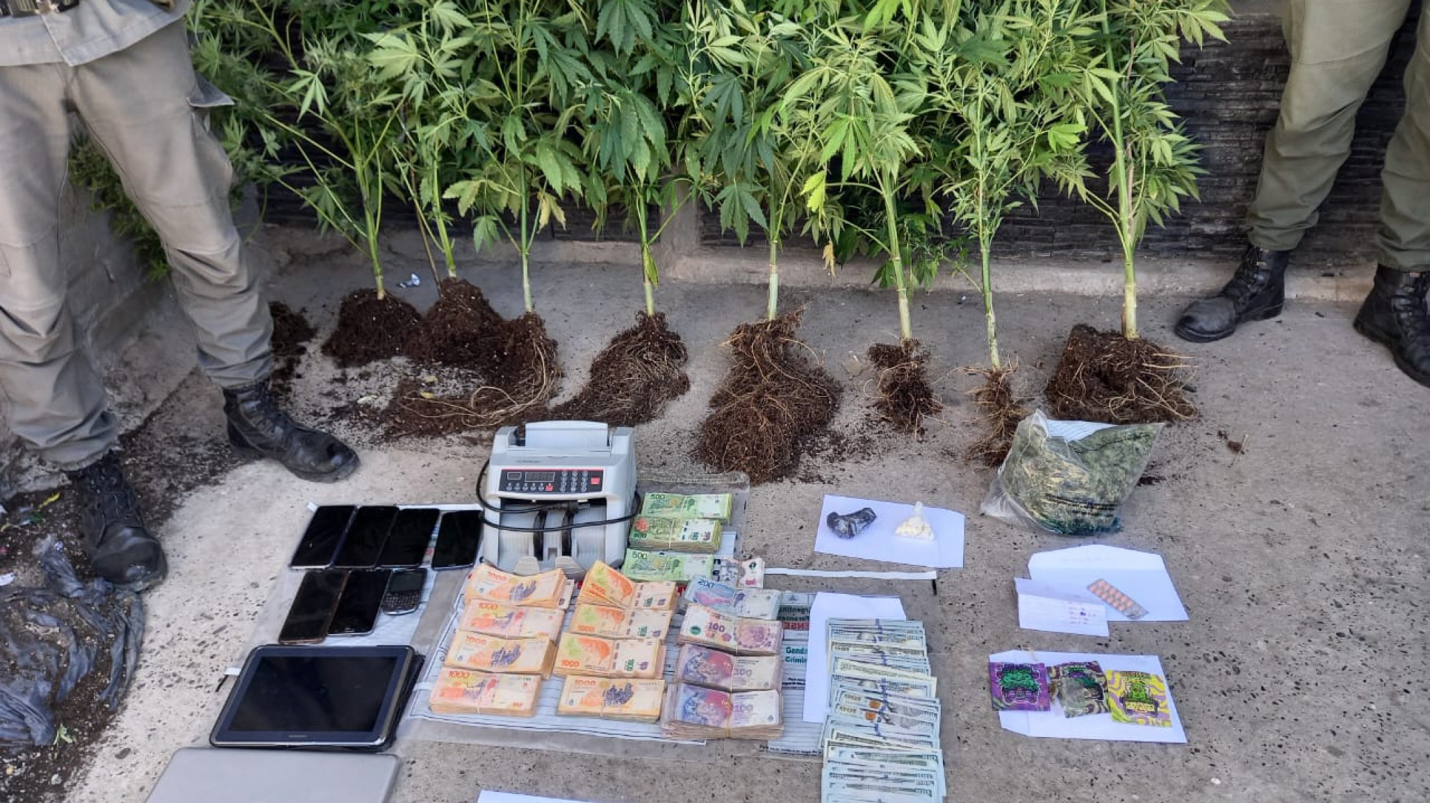 Desarticulan una banda narco en un megaoperativo con 13 allanamientos