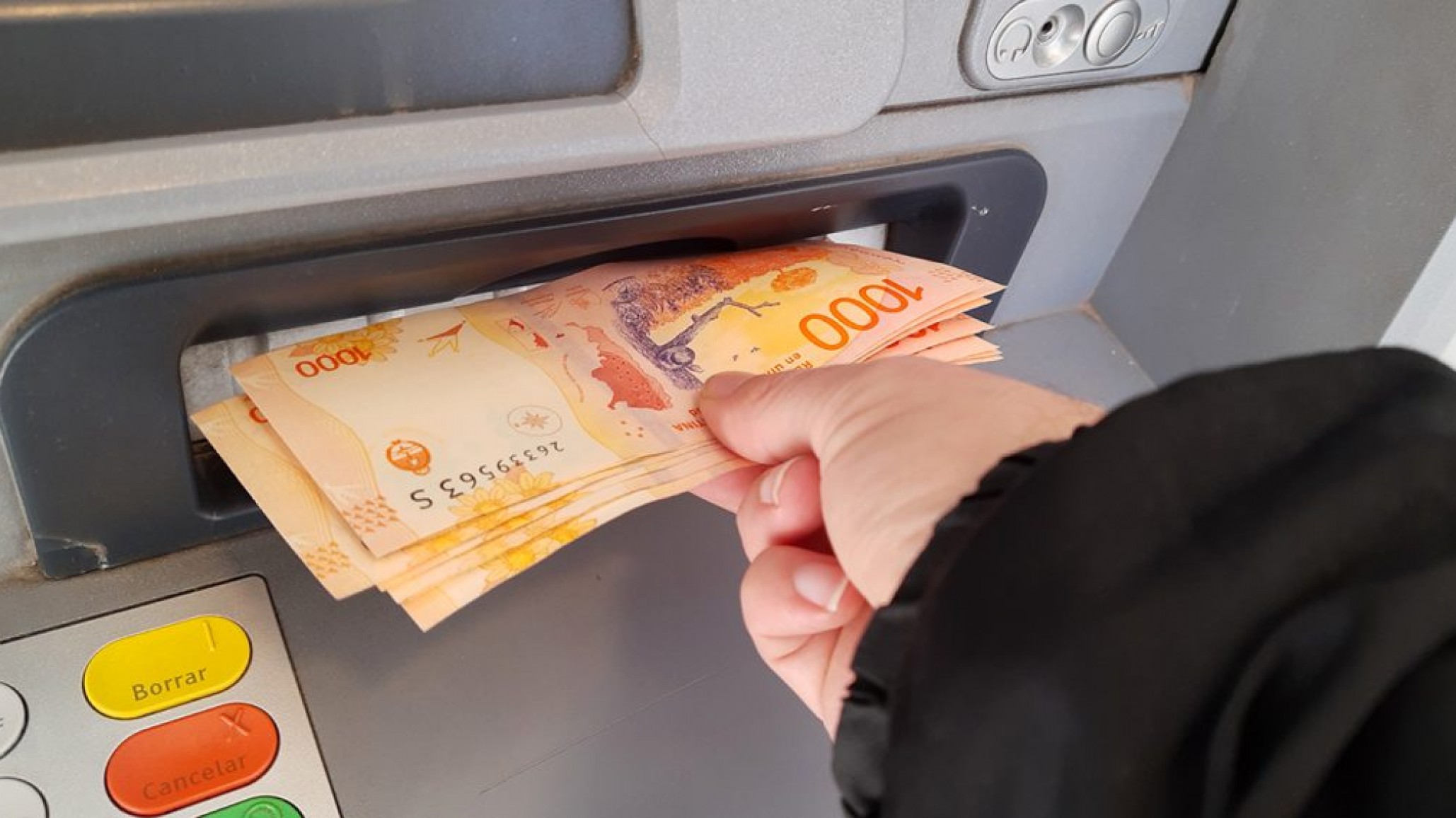 AUH y Tarjeta Alimentar: Se revelaron las fechas de cobro 2024