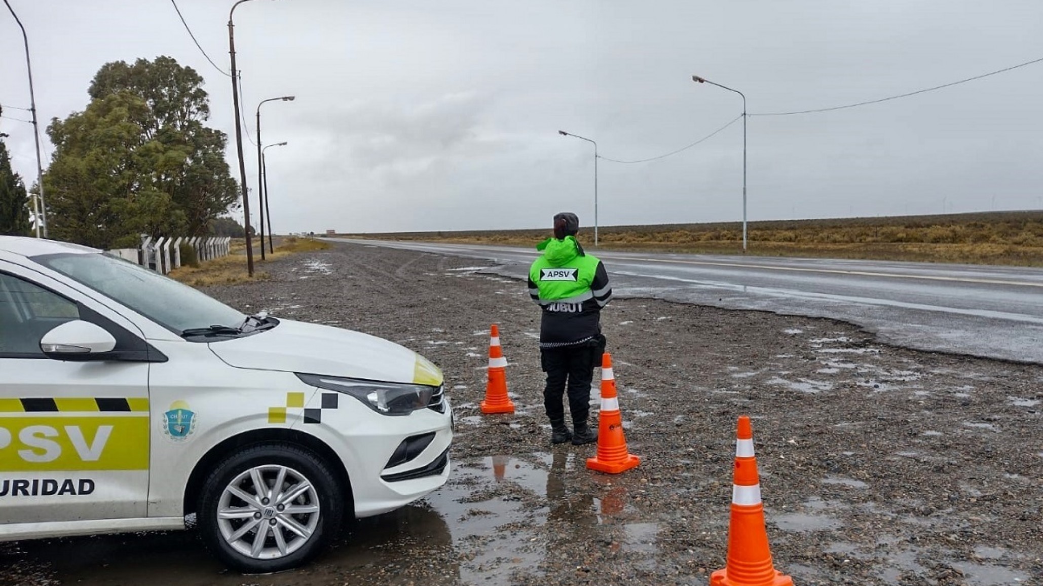 El seguro del auto va a seguir siendo obligatorio